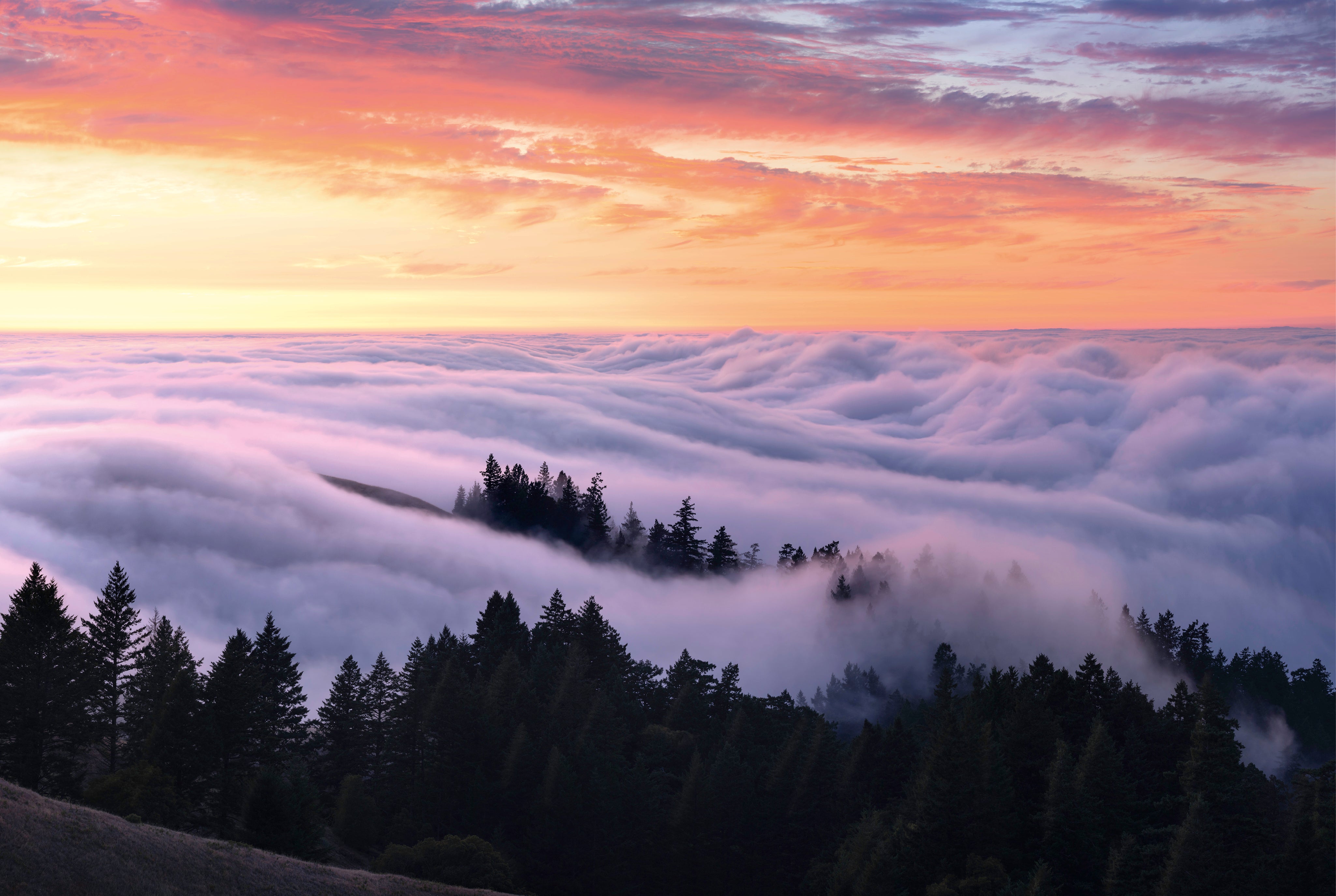 Cloudland-150x100cm.jpg