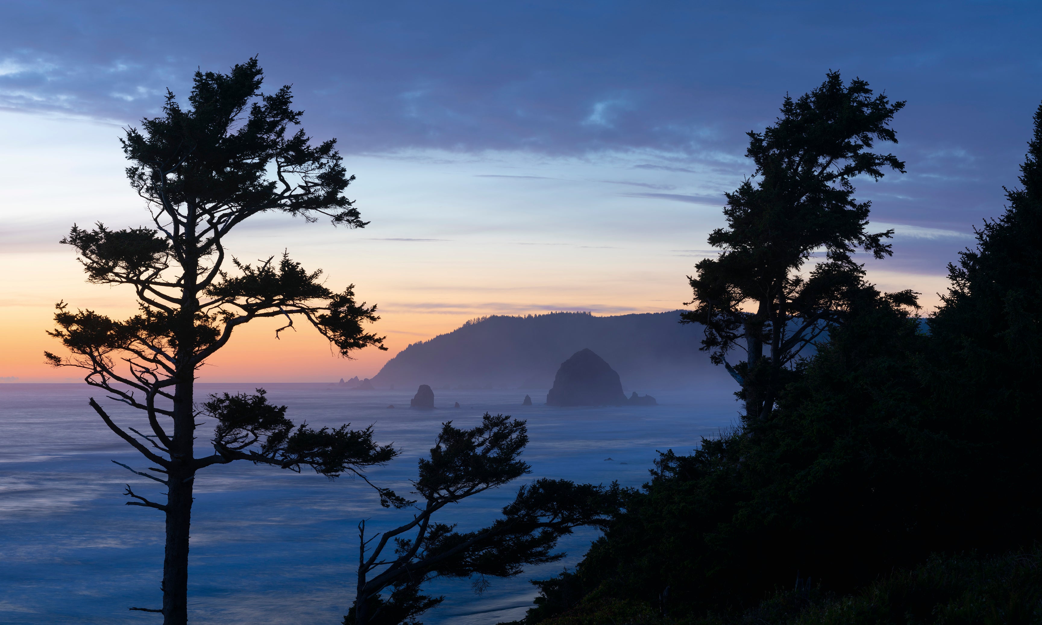 Coastal-120x80cm.jpg