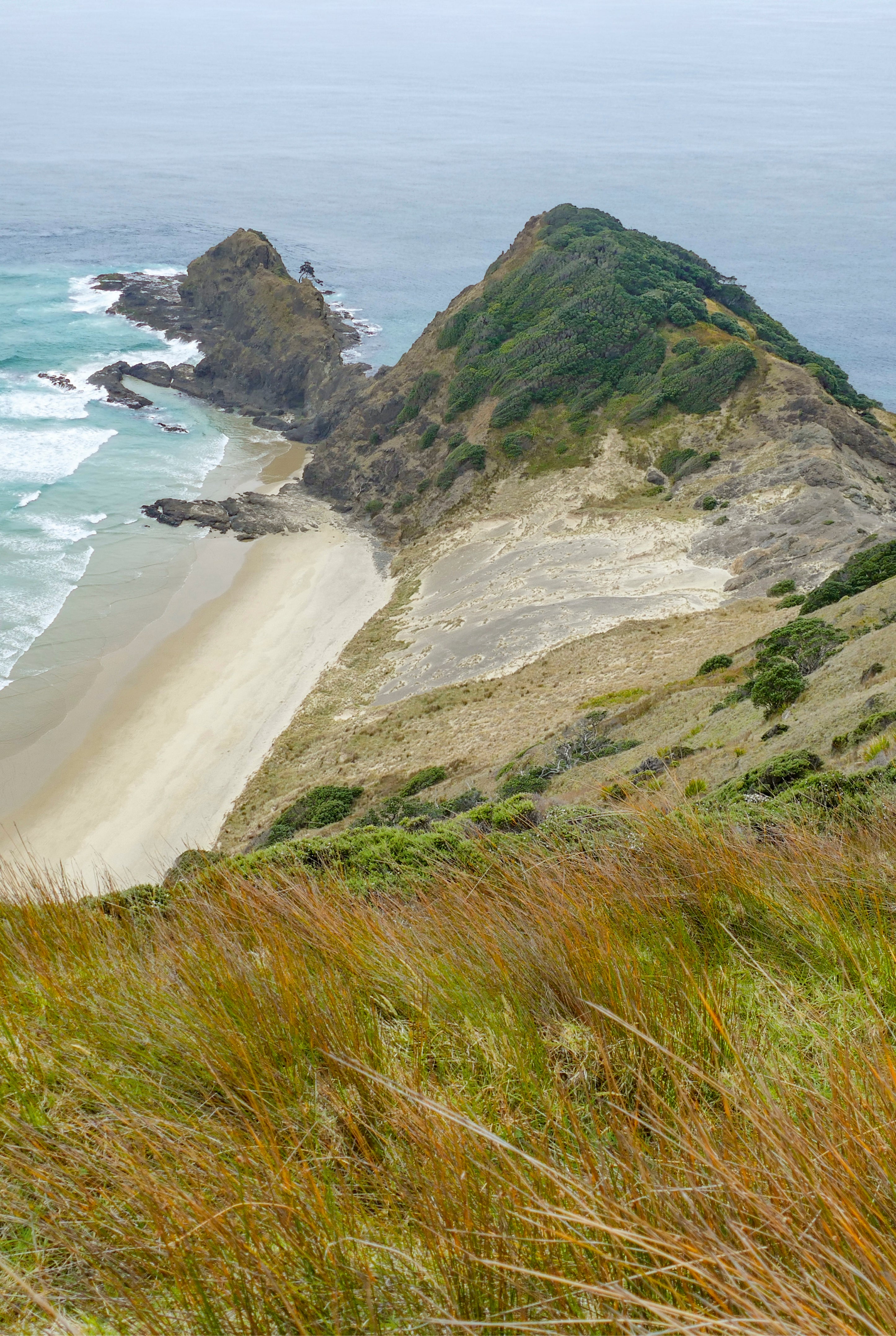 Coastal grasslands