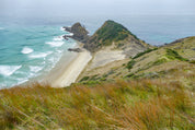 Coastal grasslands