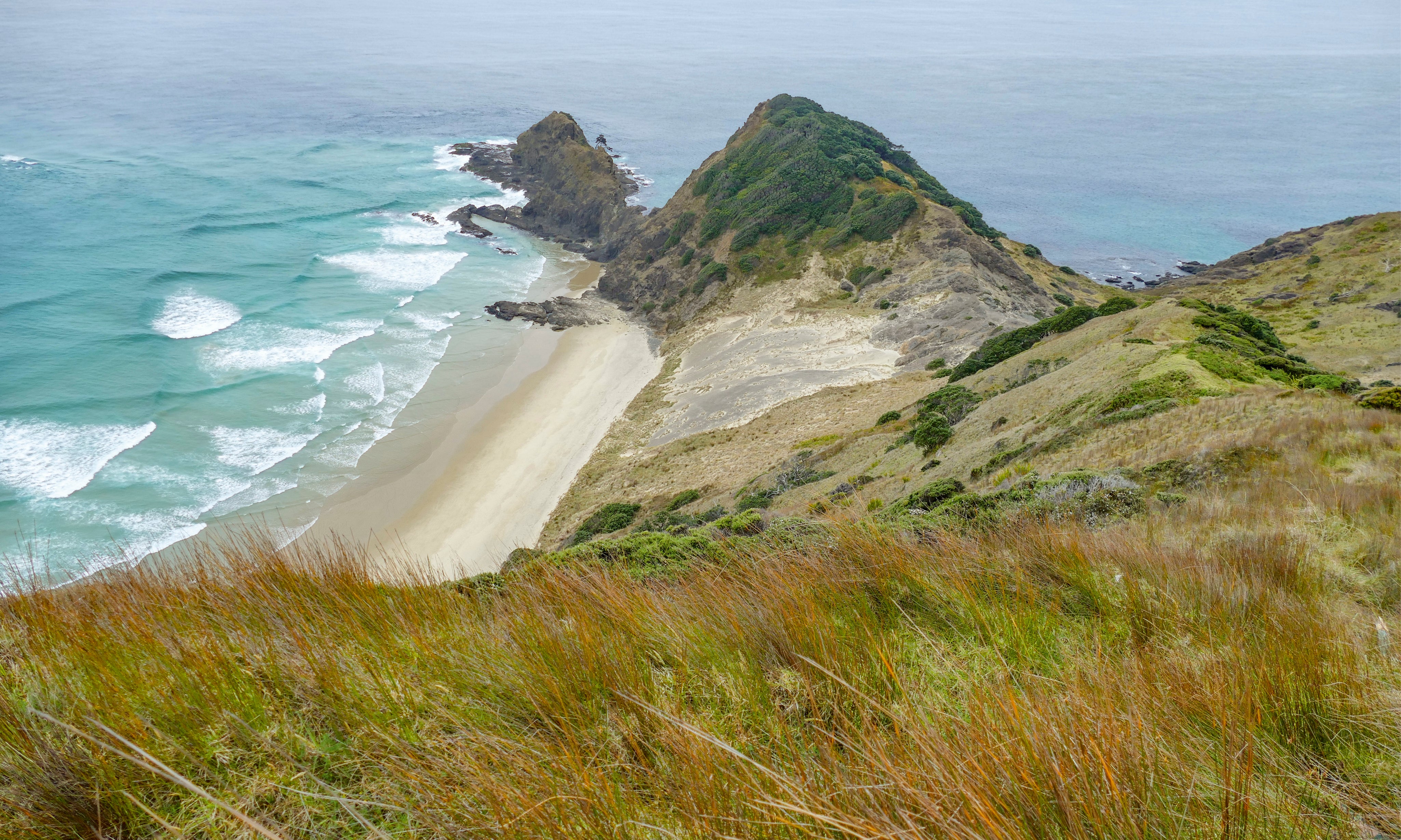 Coastalgrasslands-150x100cm.jpg