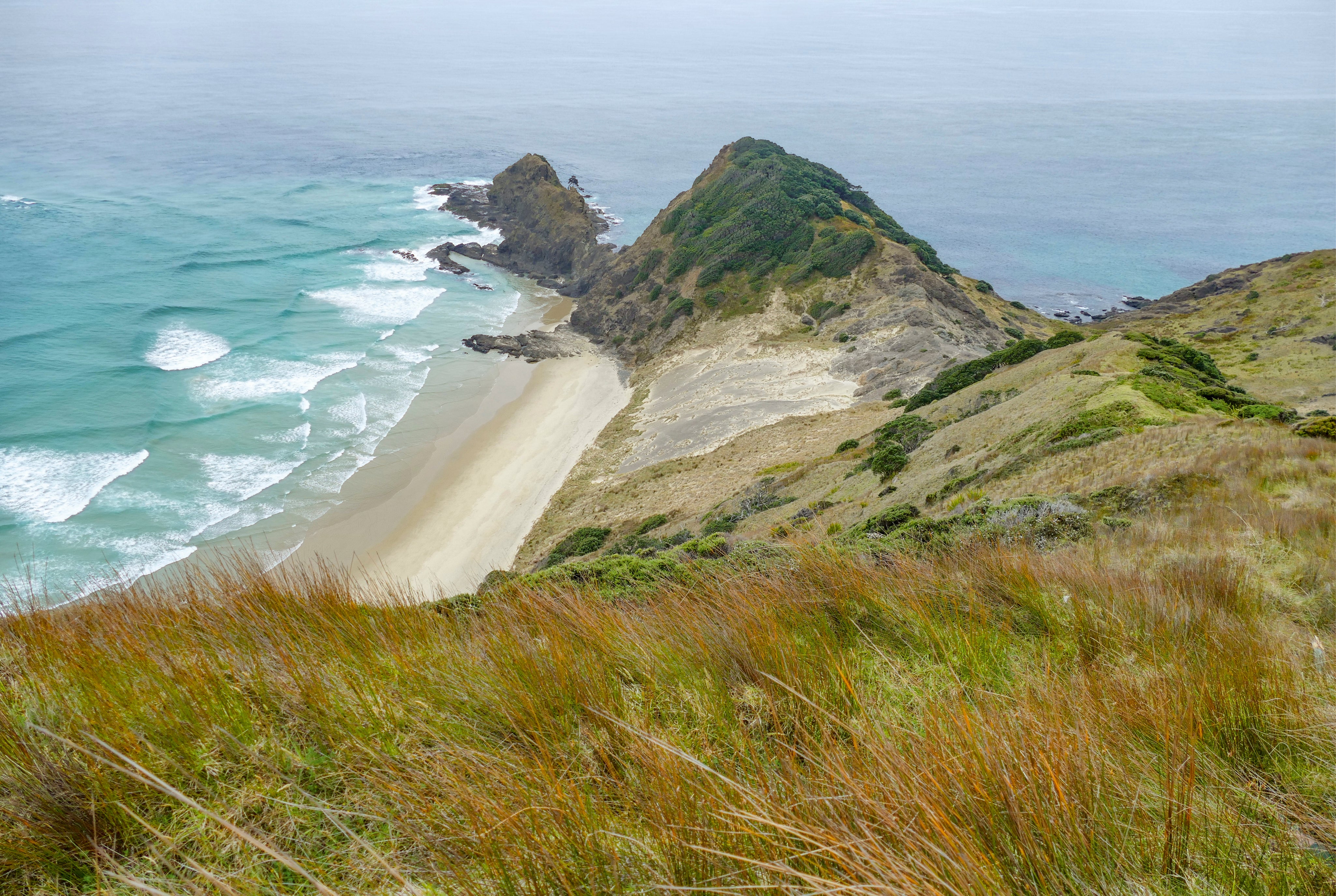 Coastal grasslands