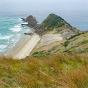Coastal grasslands