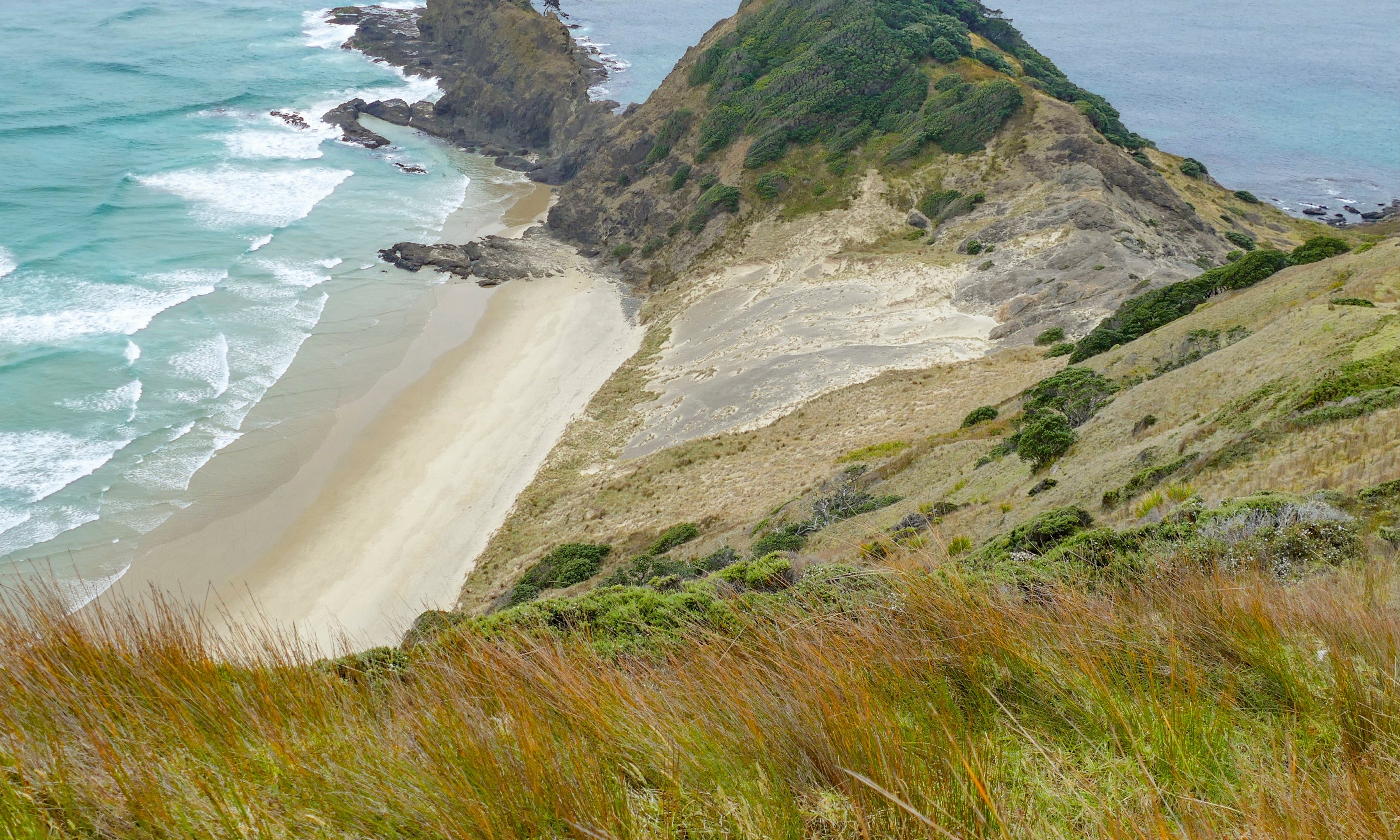 Coastalgrasslands-150x150cm.jpg