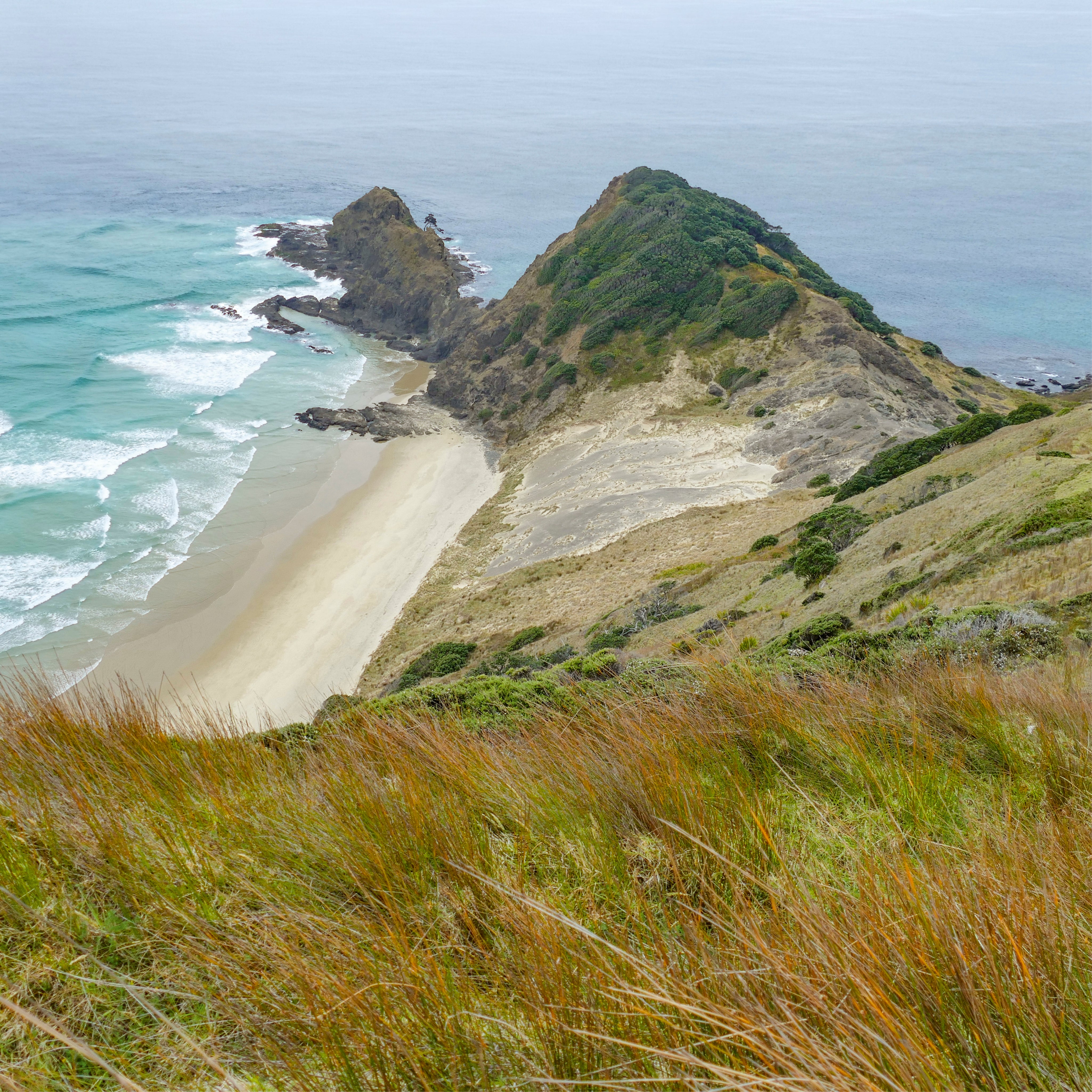 Coastal grasslands