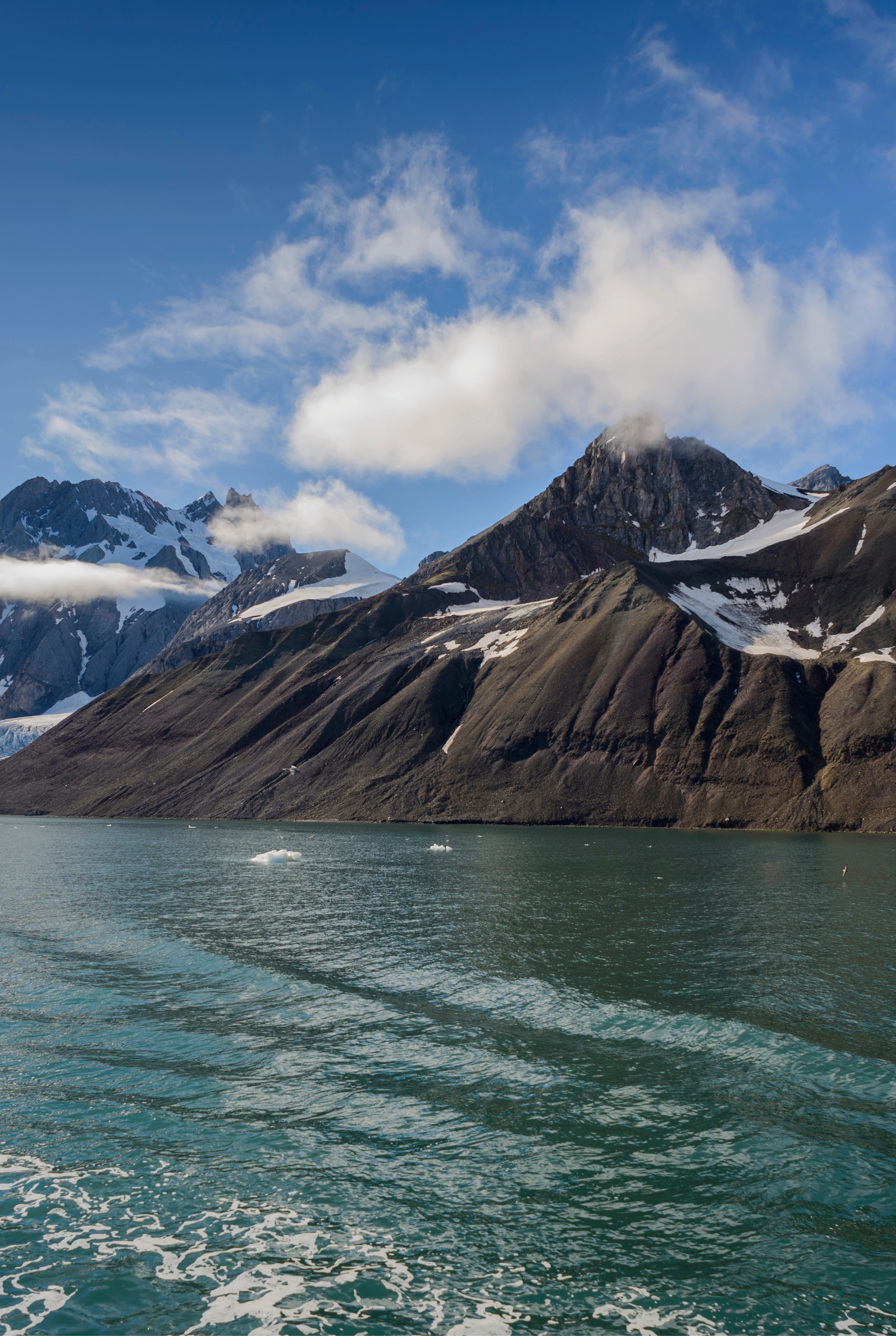 Cold fjord