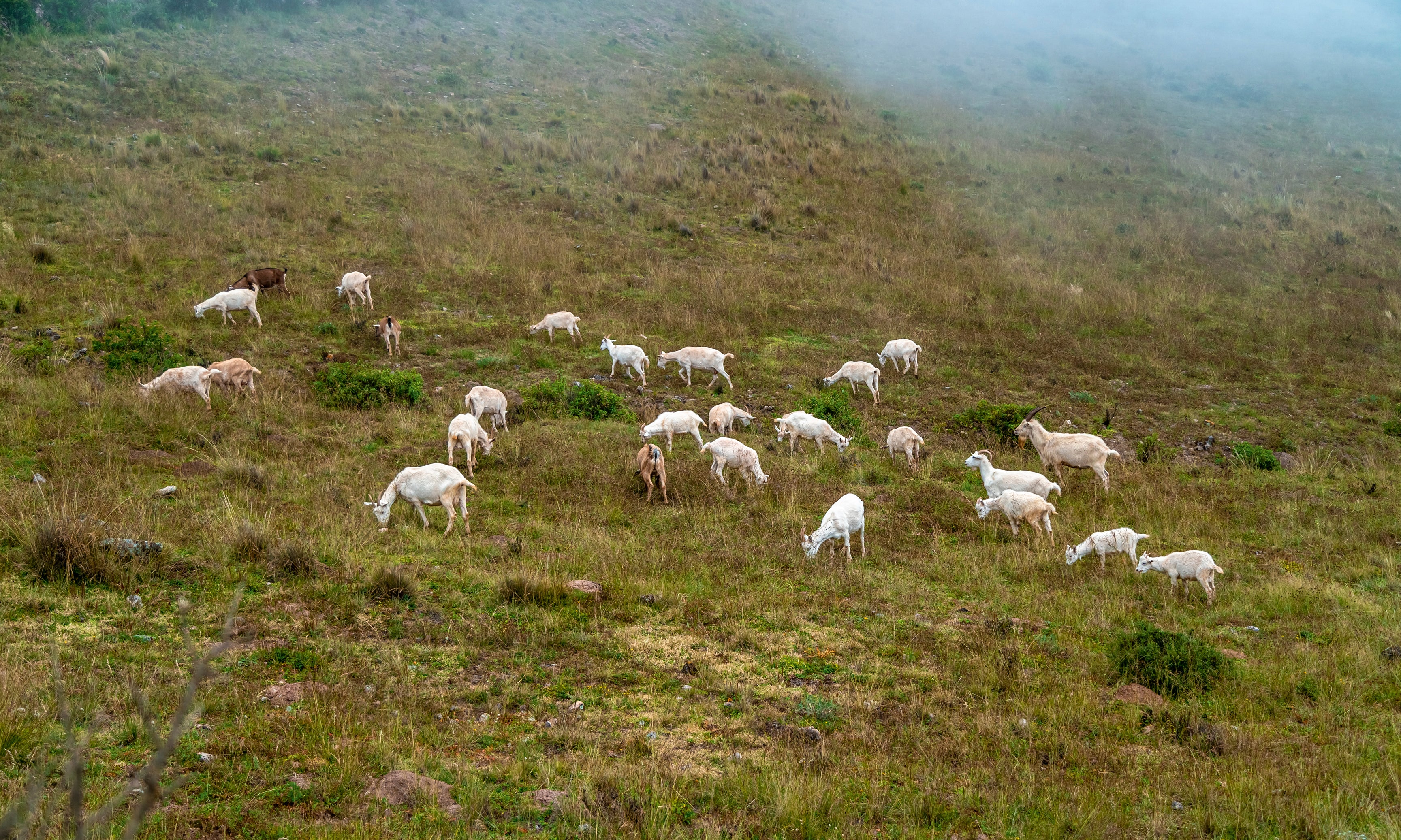 Collectivecalm-120x80cm.jpg