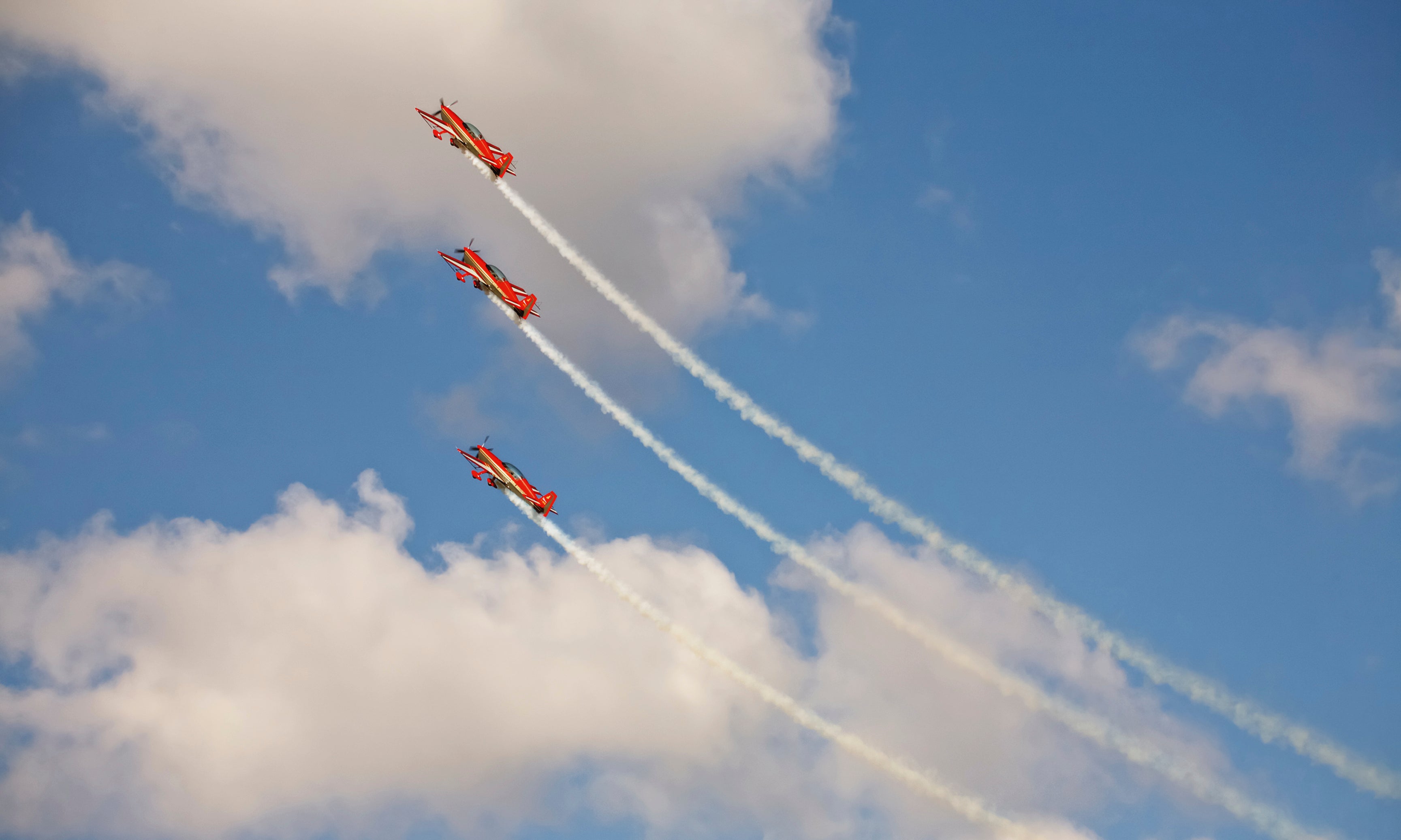 Colorflight-120x80cm.jpg