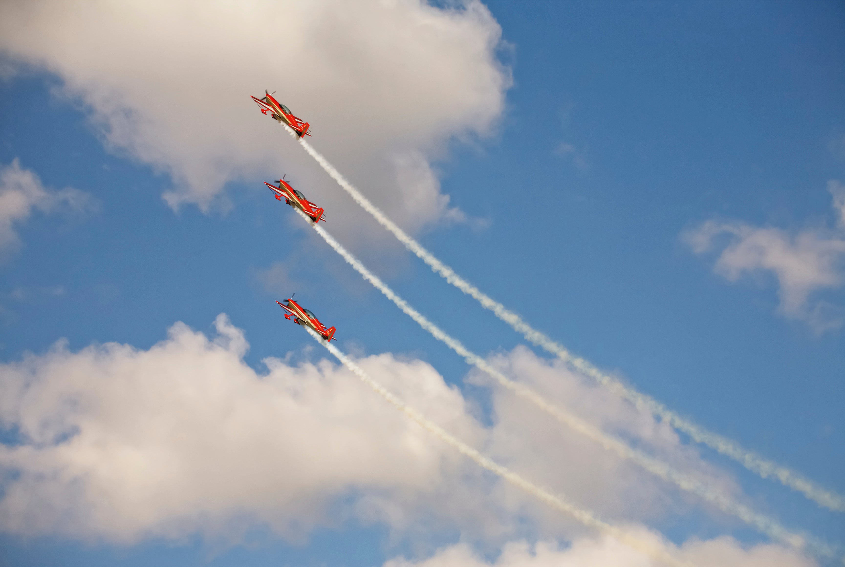 Colorflight-120x80cm.jpg