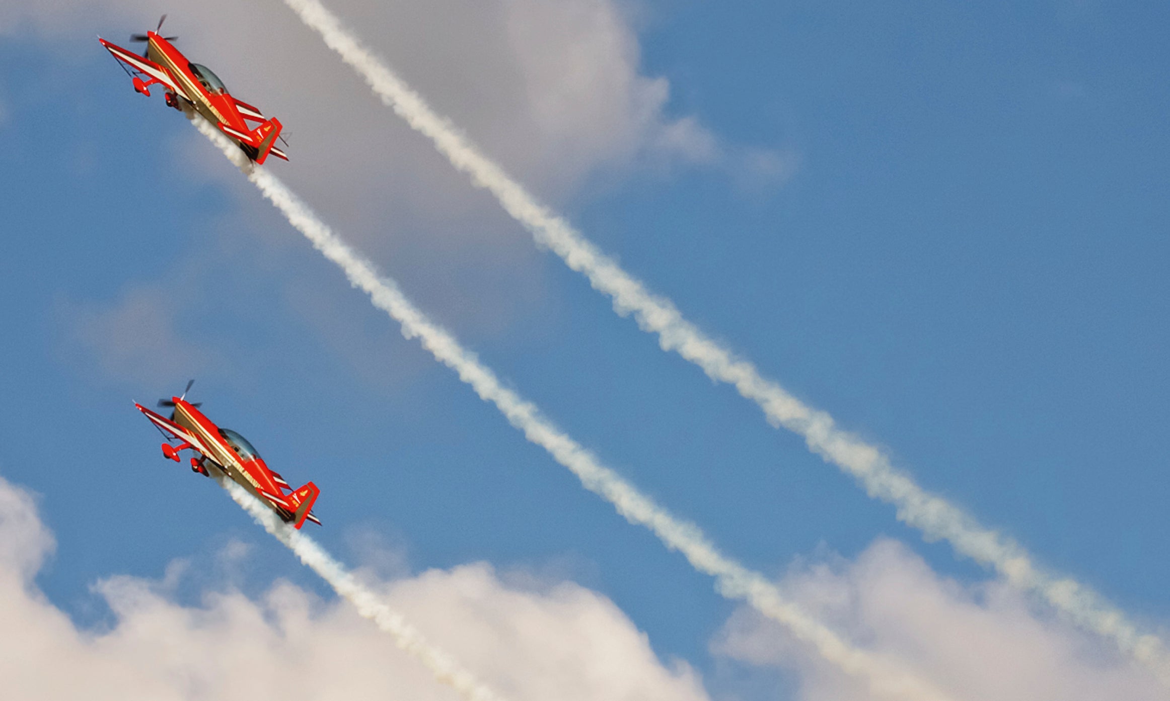 Colorflight-80x120cm.jpg