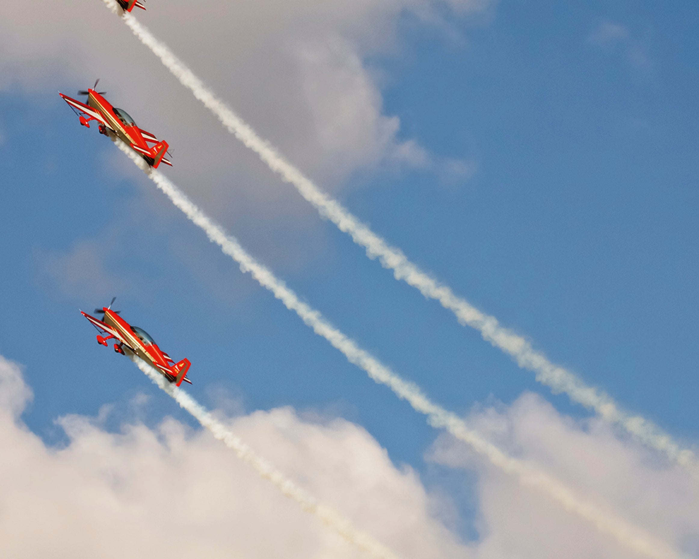 Colorflight-80x120cm.jpg
