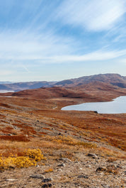 Copper view