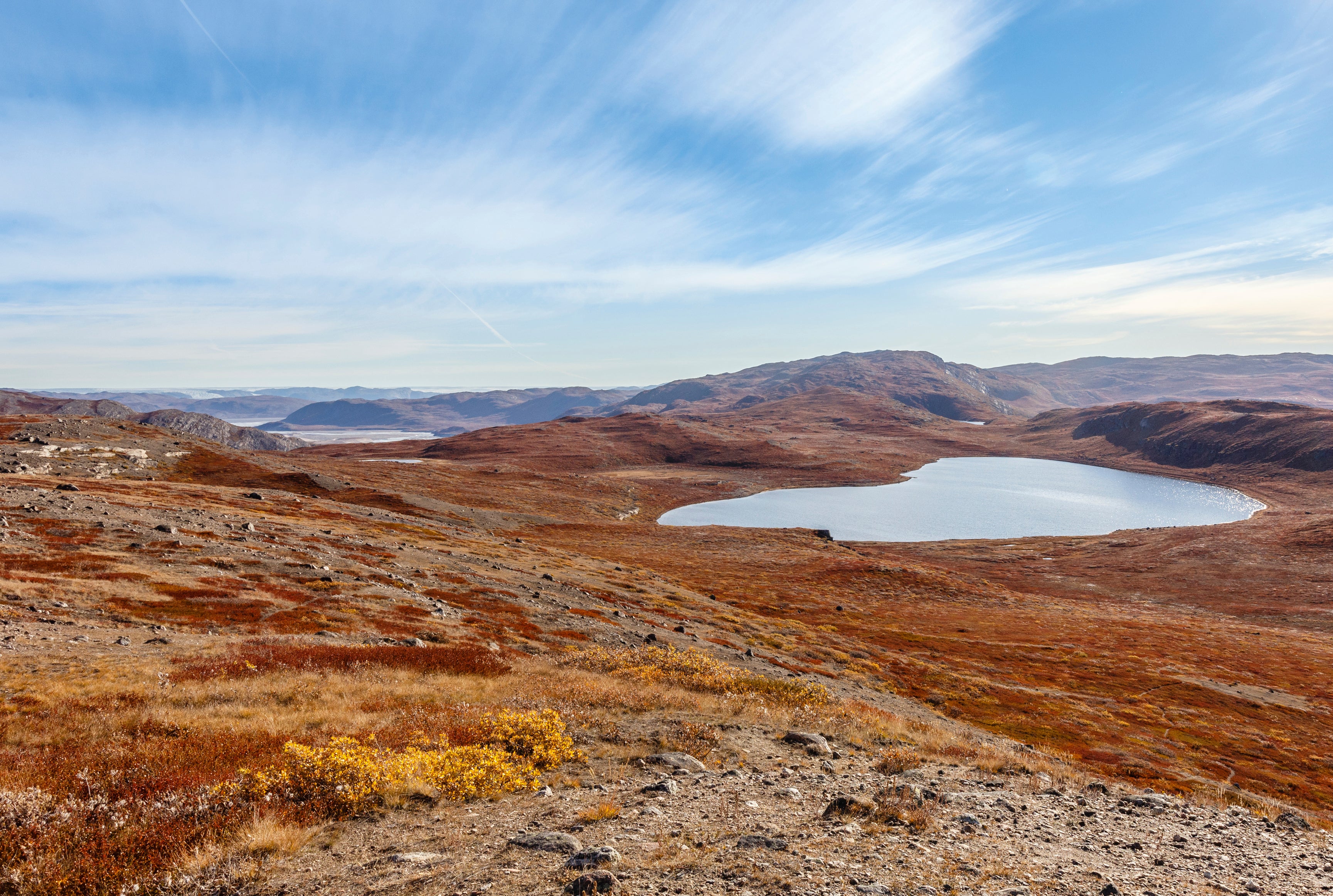 Copperview-120x80cm.jpg