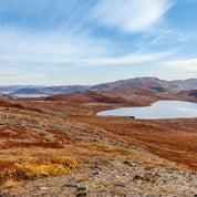 Copper view