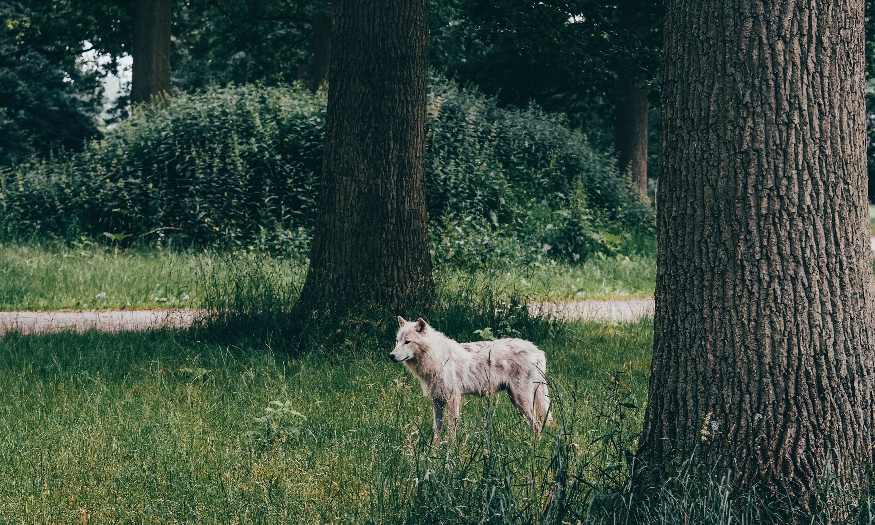 Crossingthequiet-100x150cm.jpg