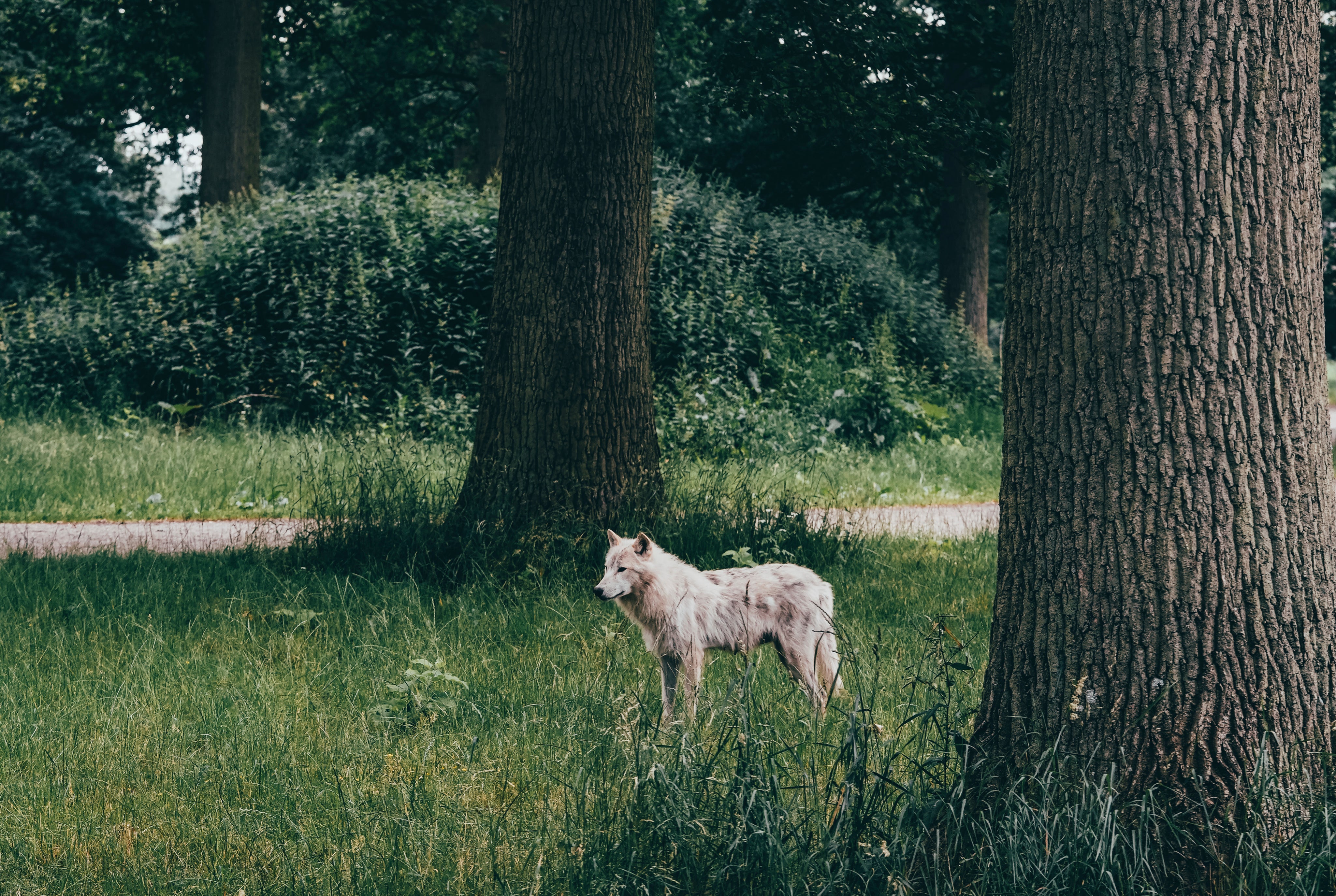 Crossingthequiet-150x100cm.jpg
