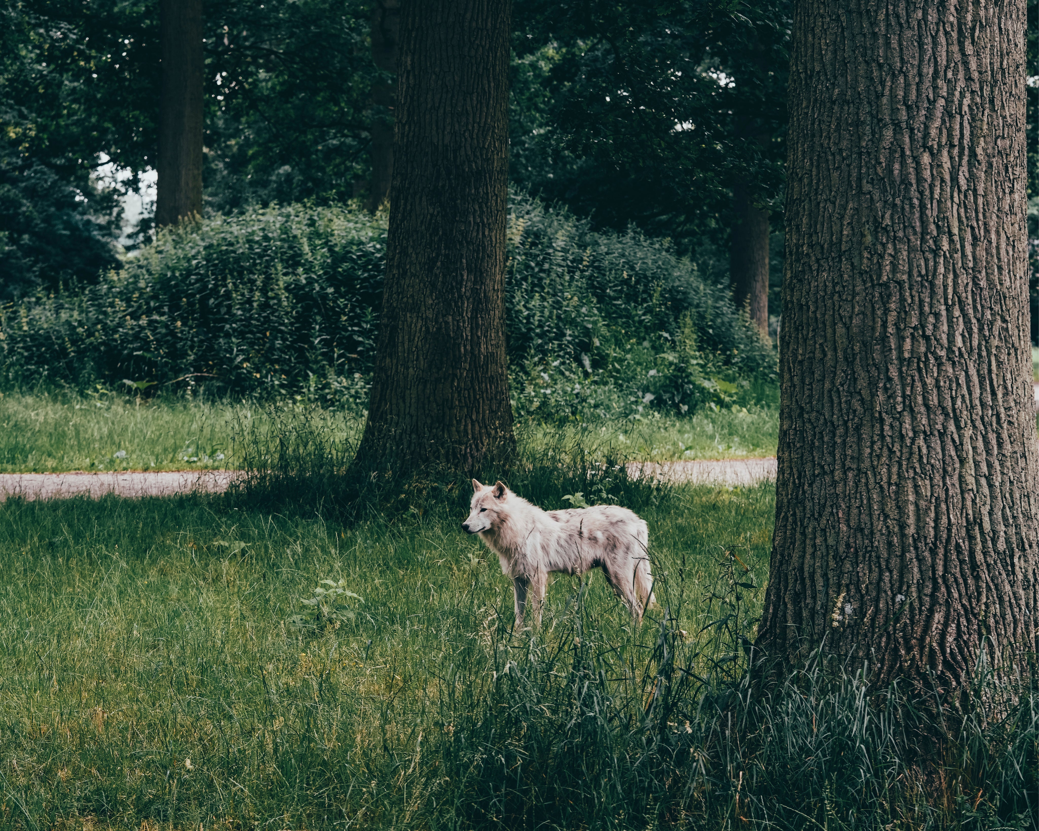 Crossingthequiet-150x150cm.jpg