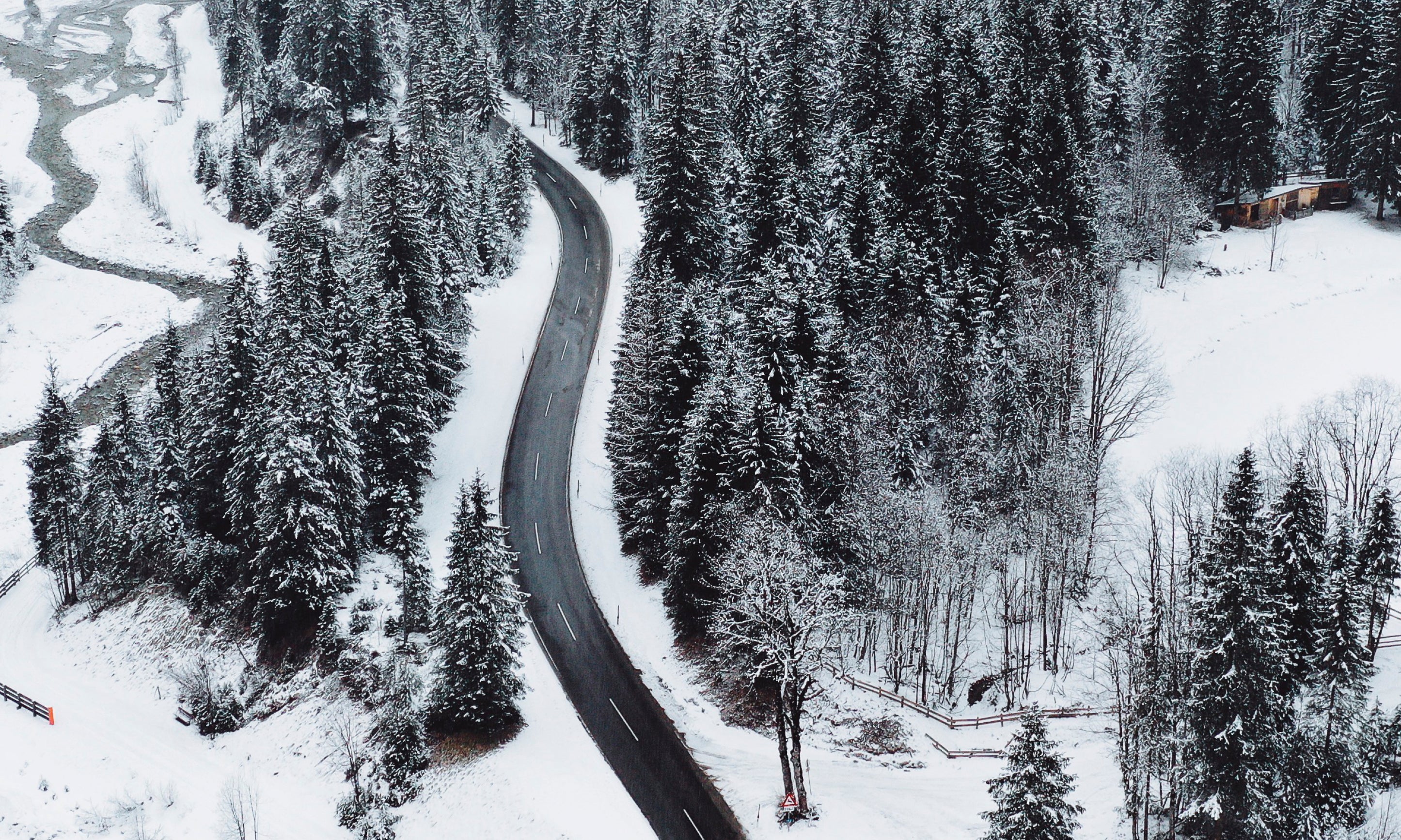 Cutthroughcold-100x150cm.jpg