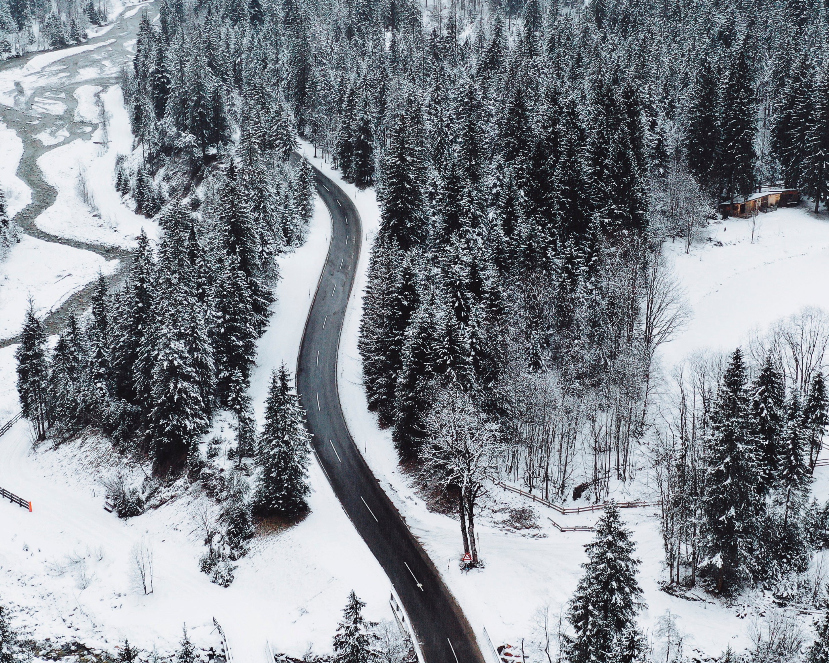 Cutthroughcold-100x150cm.jpg
