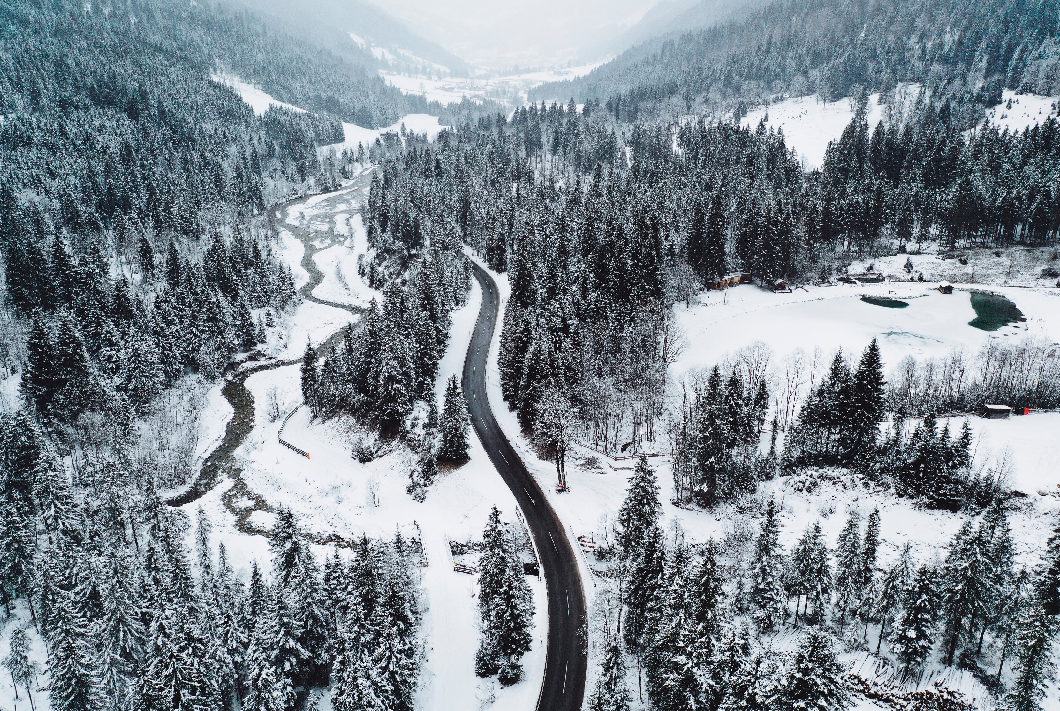 Cutthroughcold-150x100cm.jpg