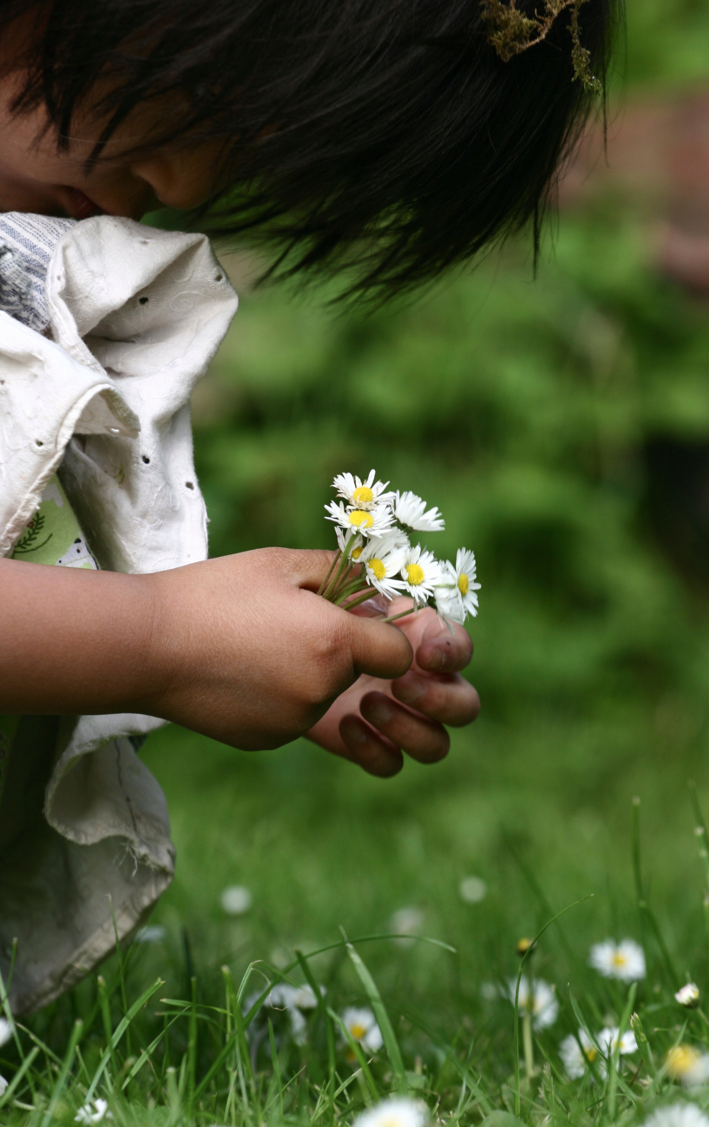 Daisy gentleness