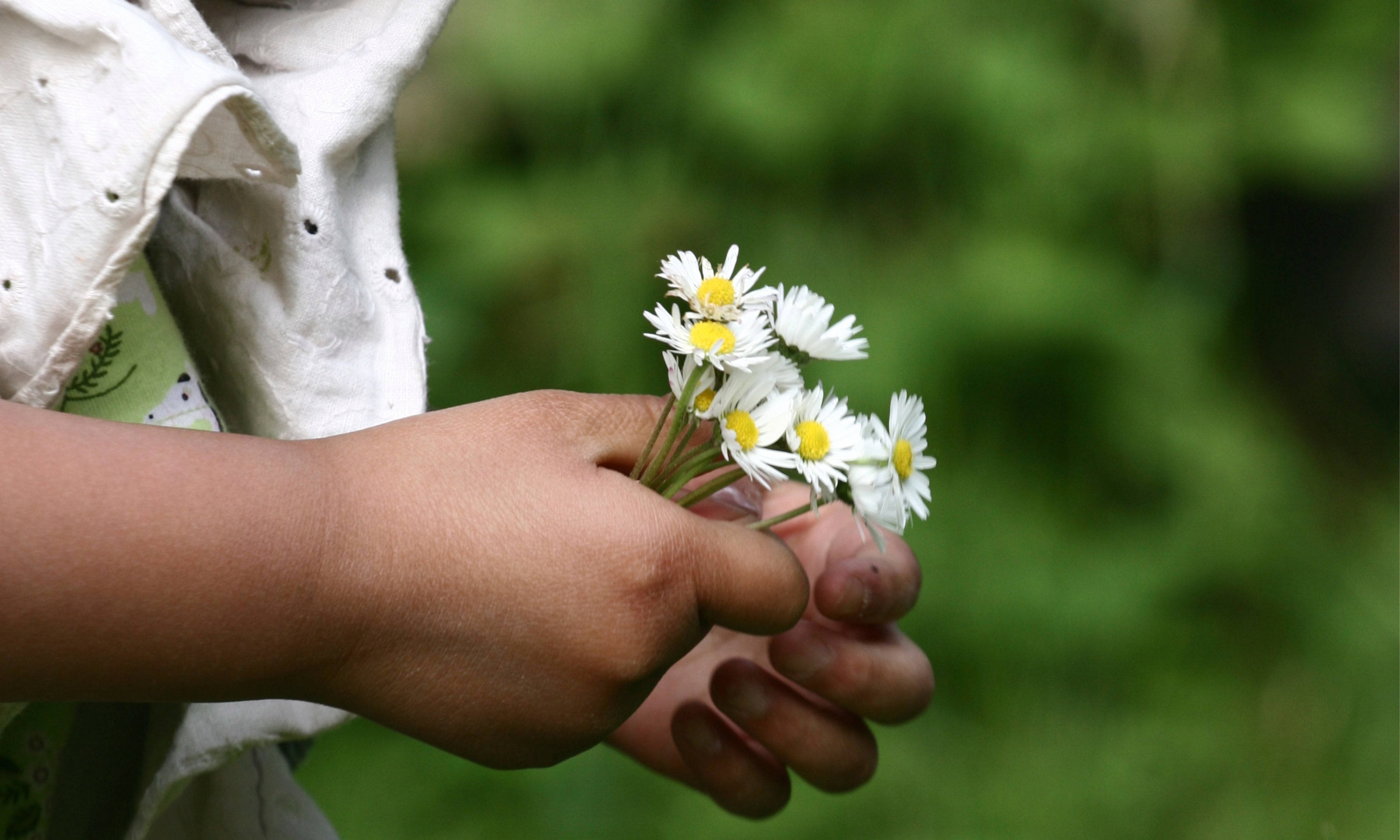 Daisygentleness-150x100cm.jpg