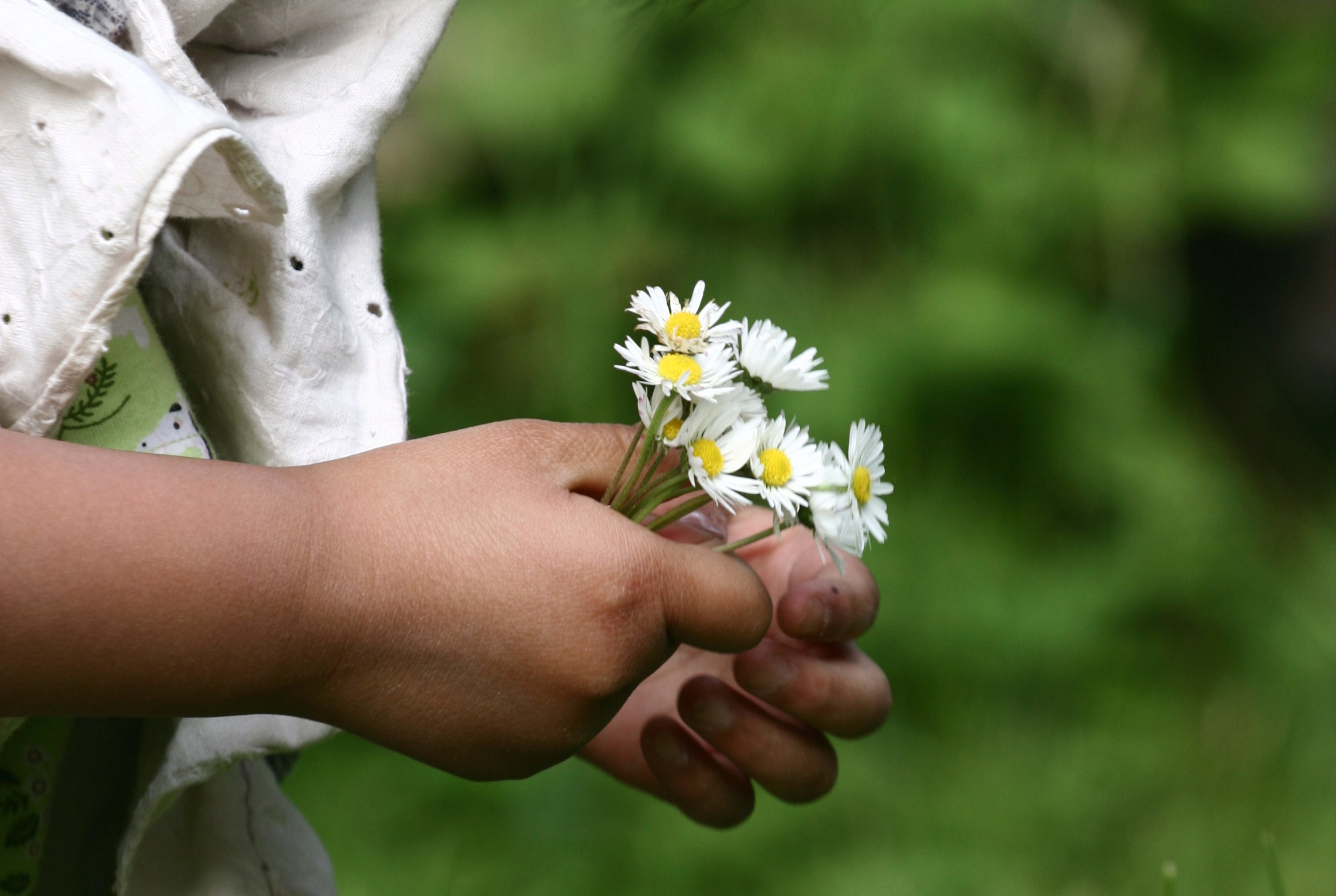 Daisygentleness-150x100cm.jpg