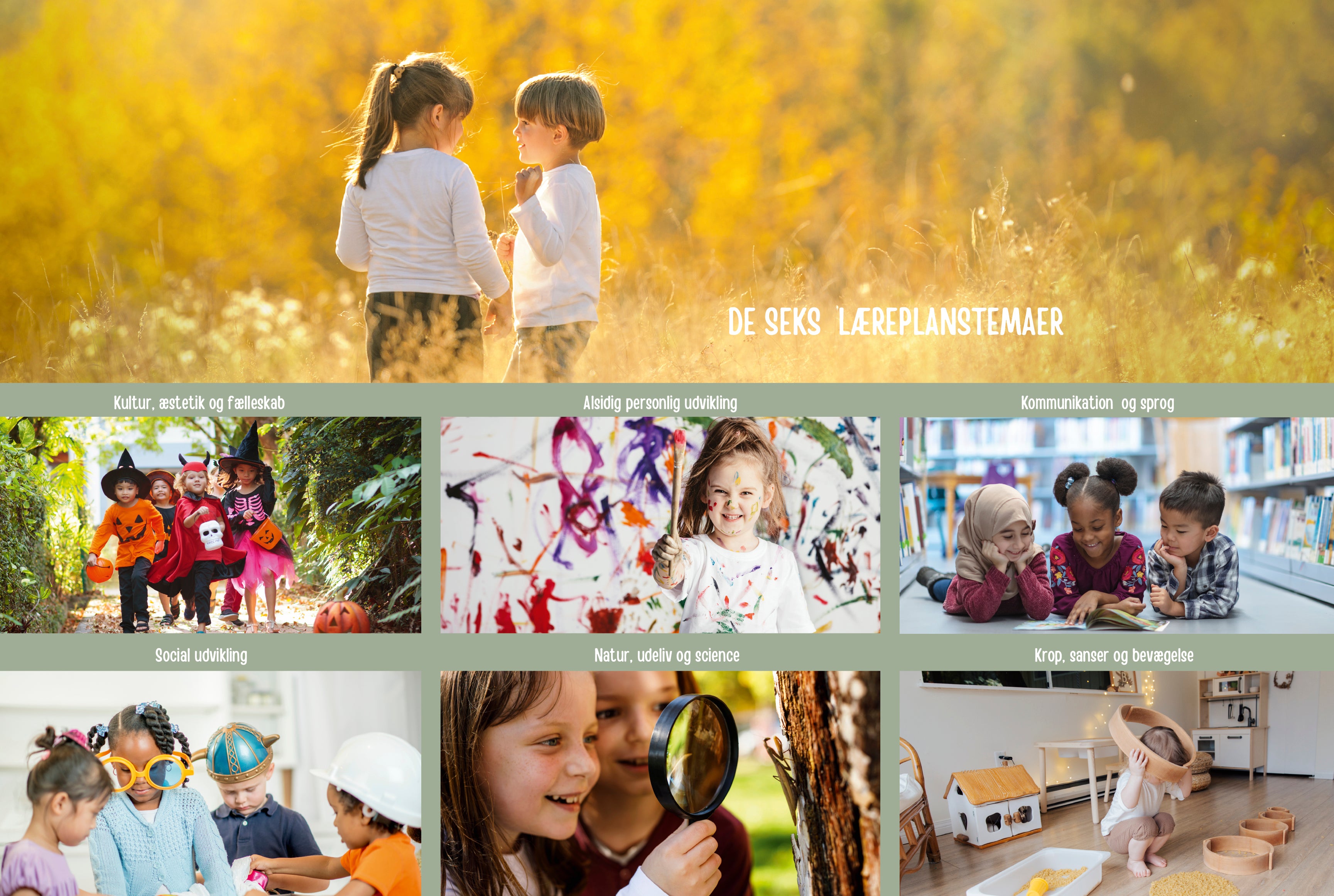 Desekslaereplanstemaer-120x80cm.jpg