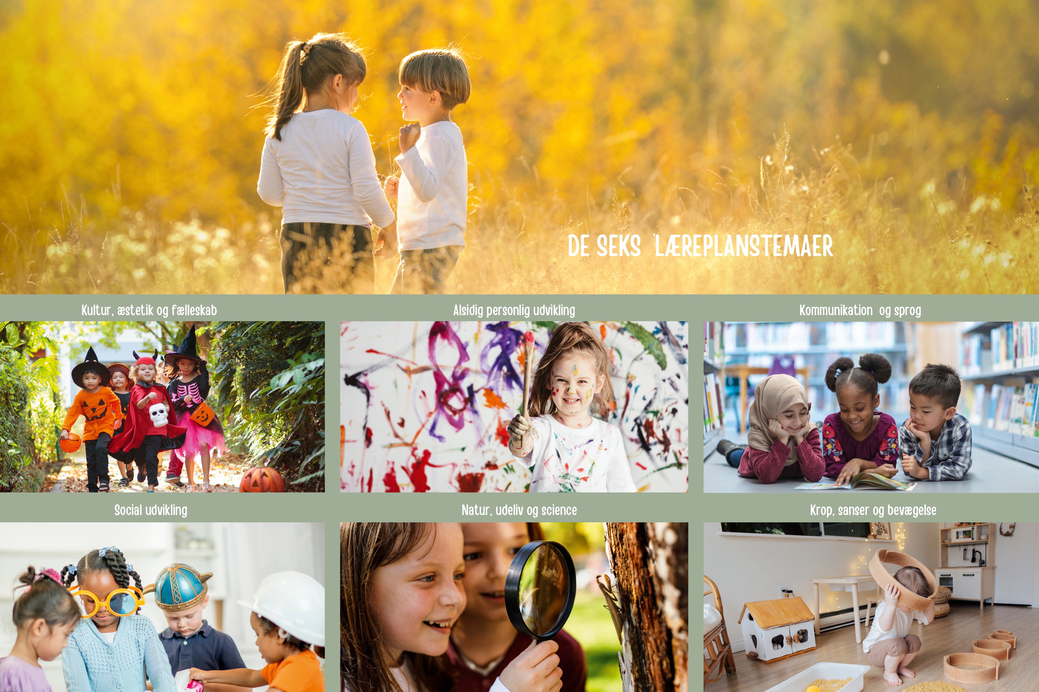 Desekslaereplanstemaer_Vandret-120x80cm.jpg