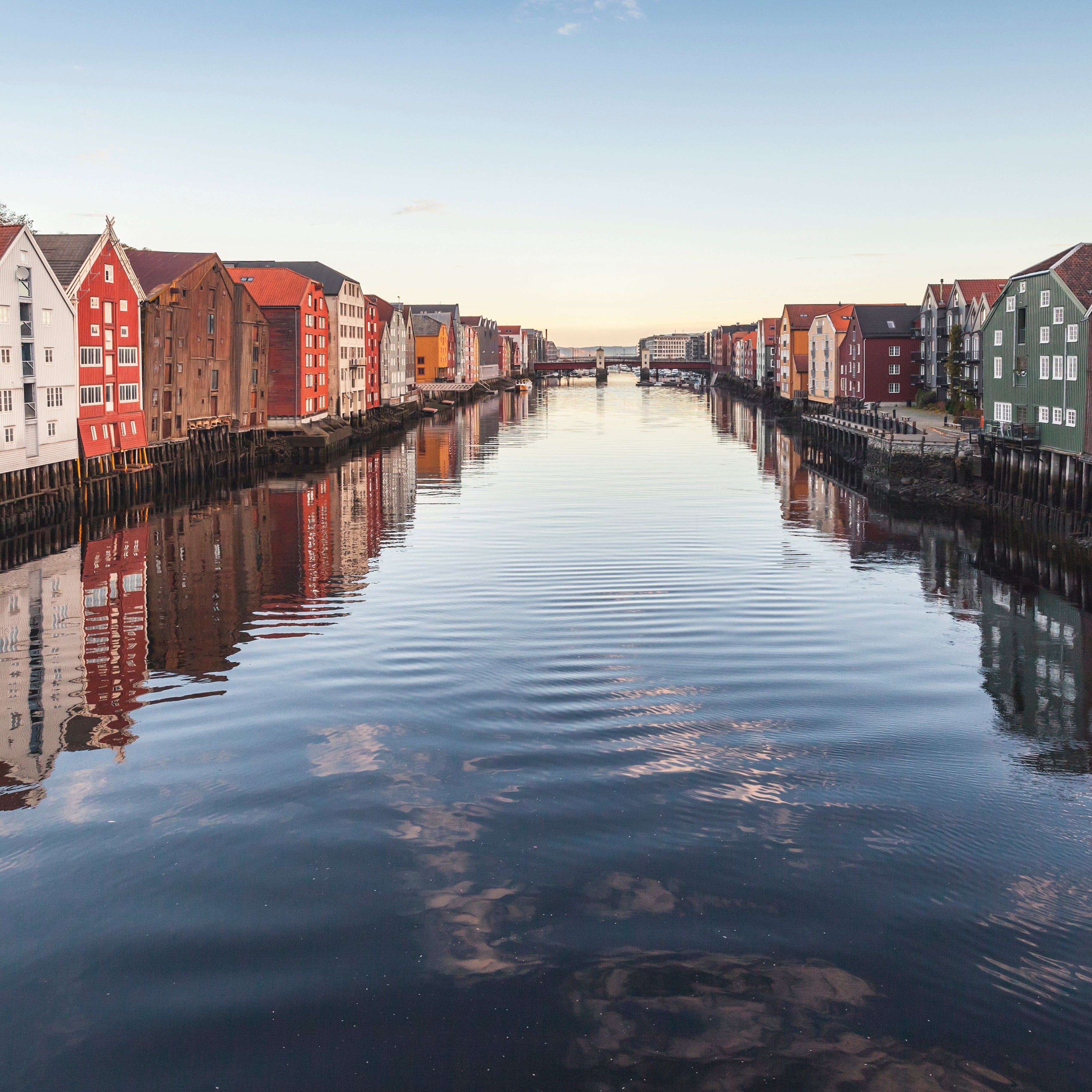 Dockside colors