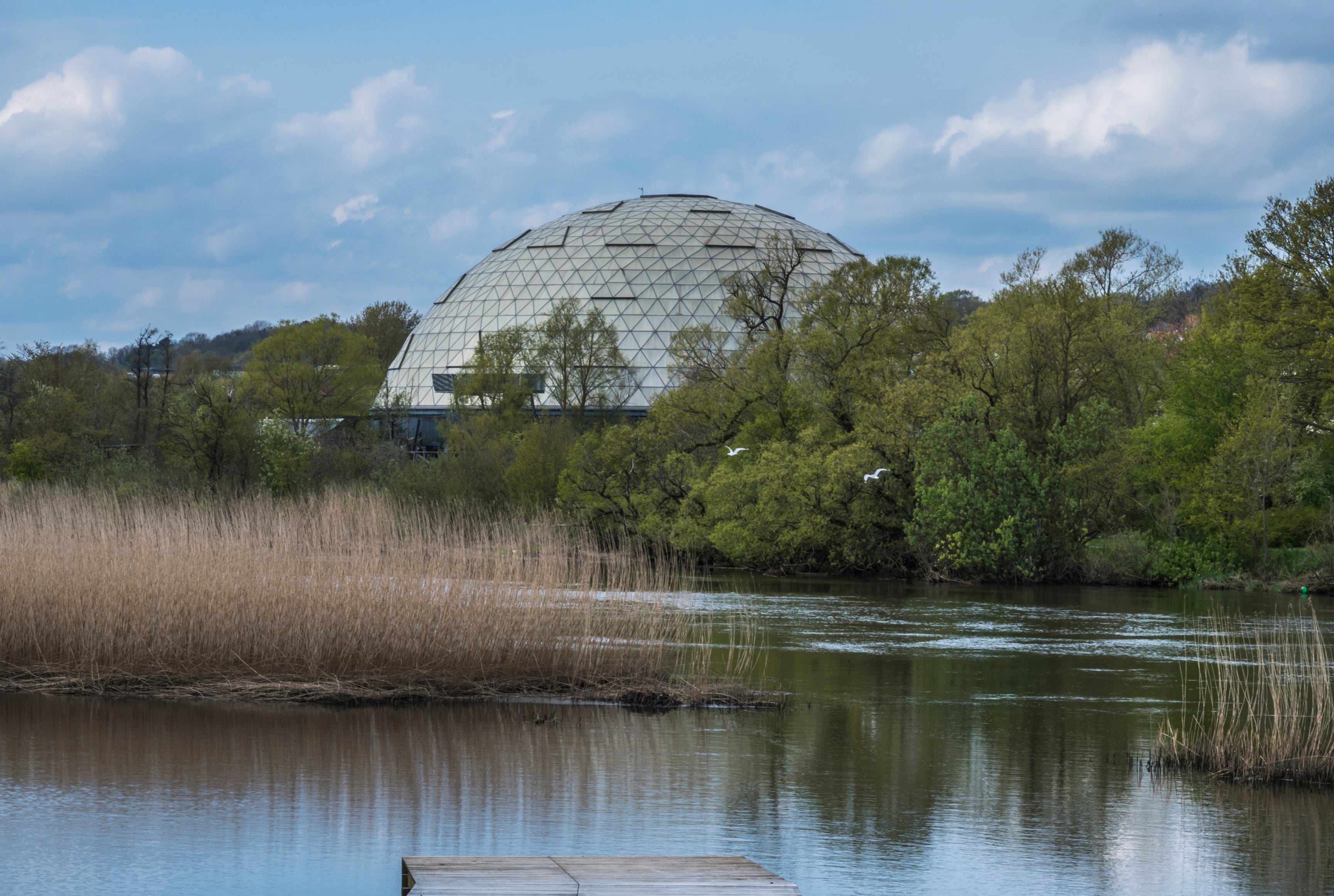 Dome by the lake