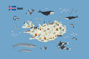 Dyreliv på Island