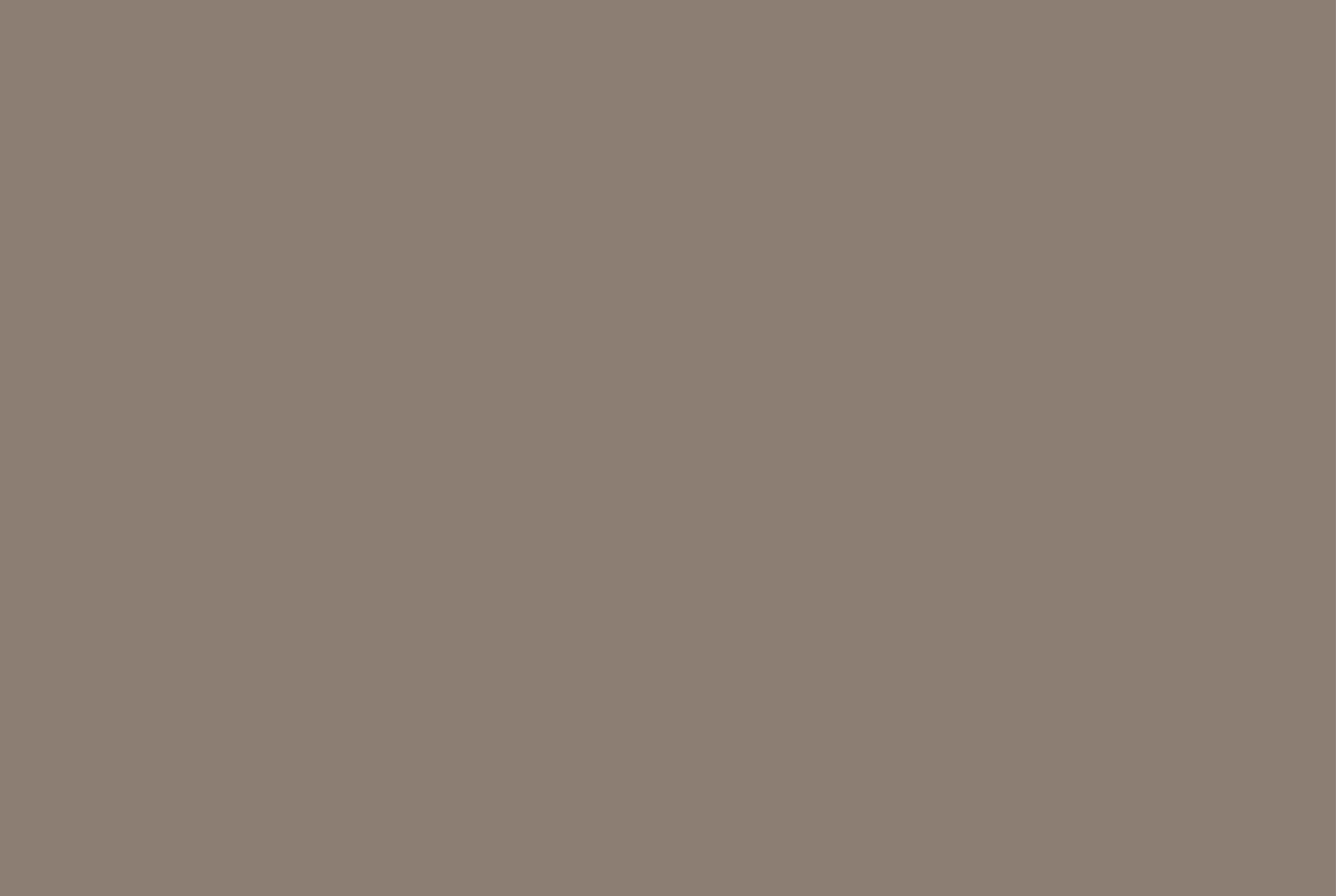 Earthbrown-150x100cm.jpg