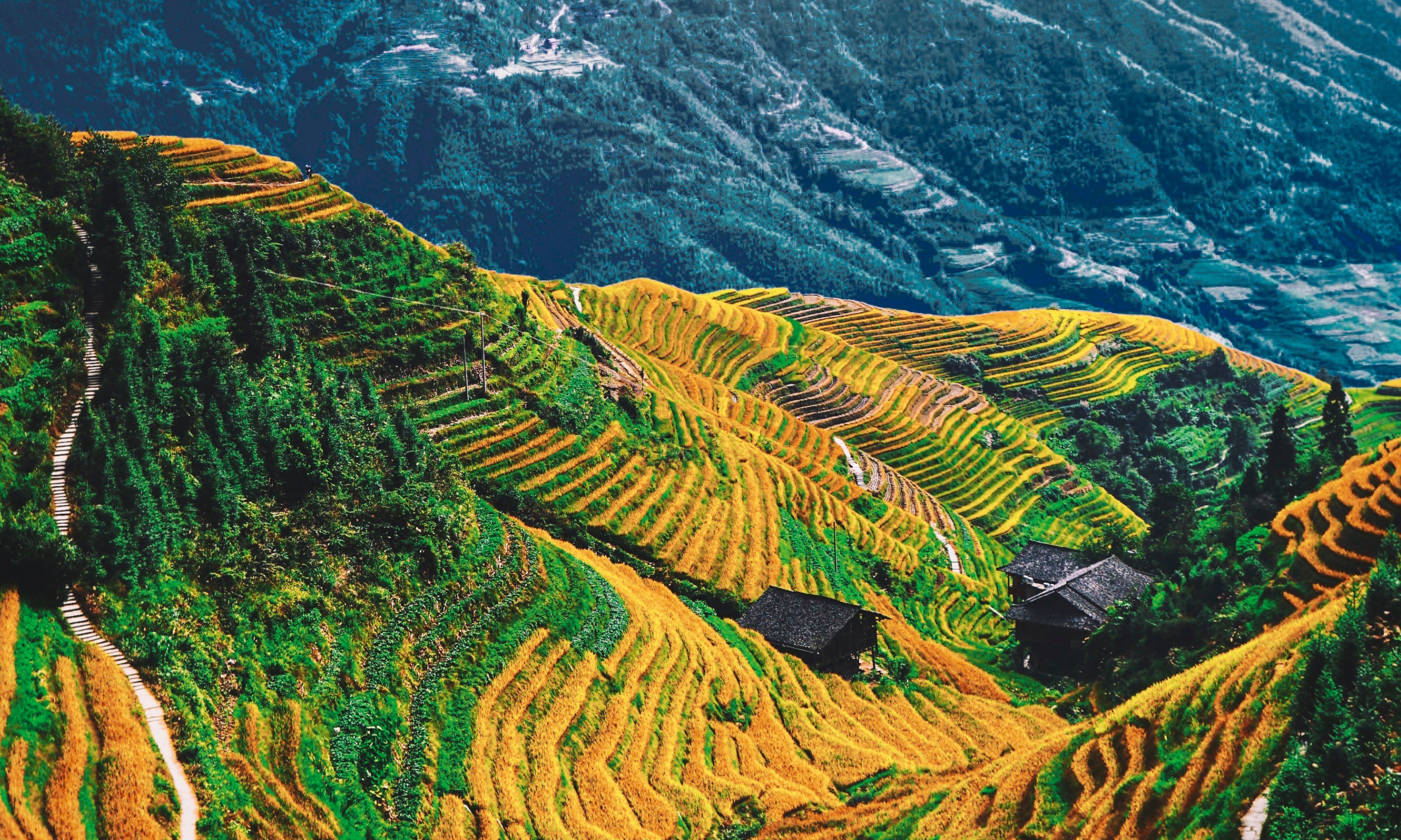Earthinthevalley-100x150cm.jpg