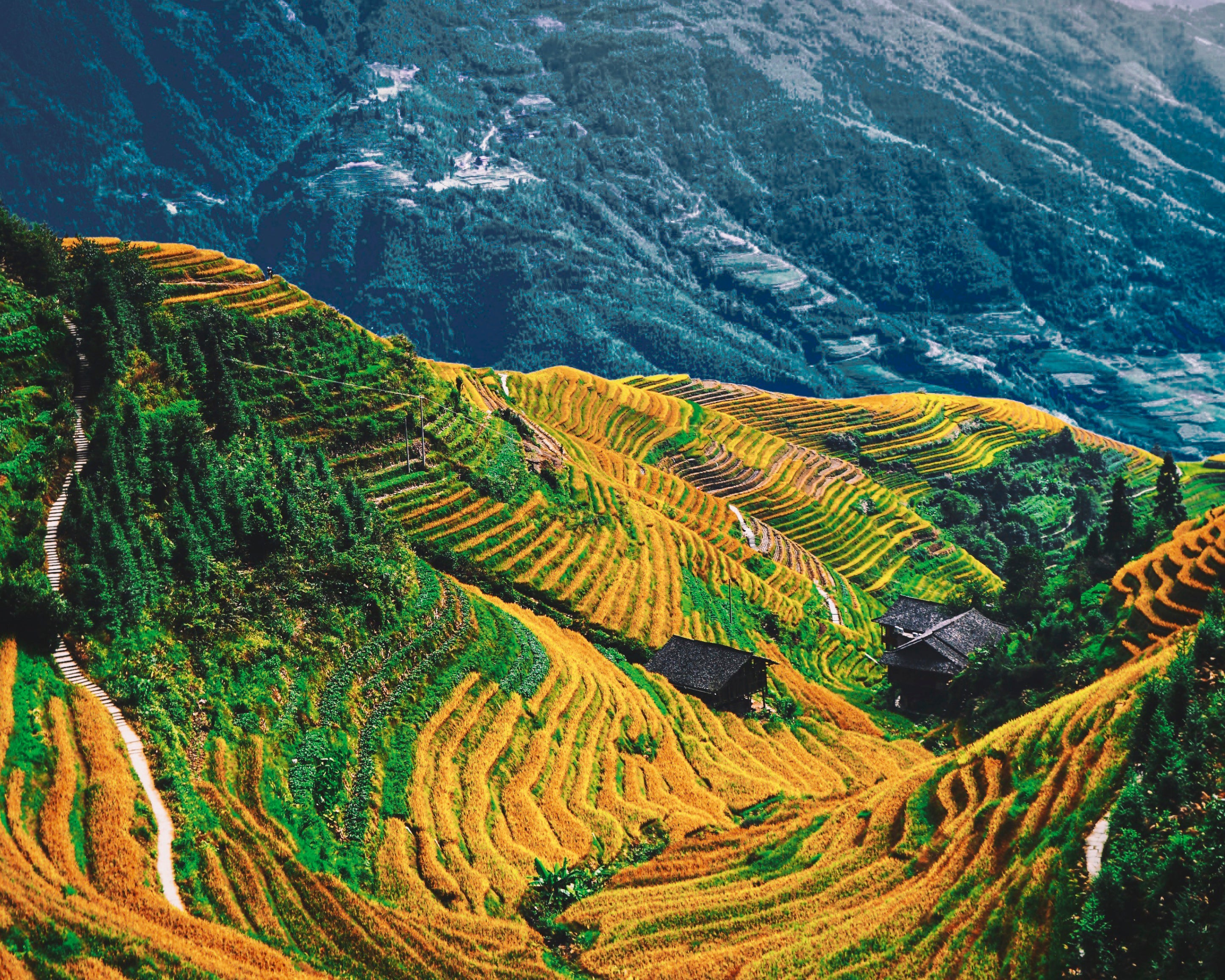 Earthinthevalley-100x150cm.jpg