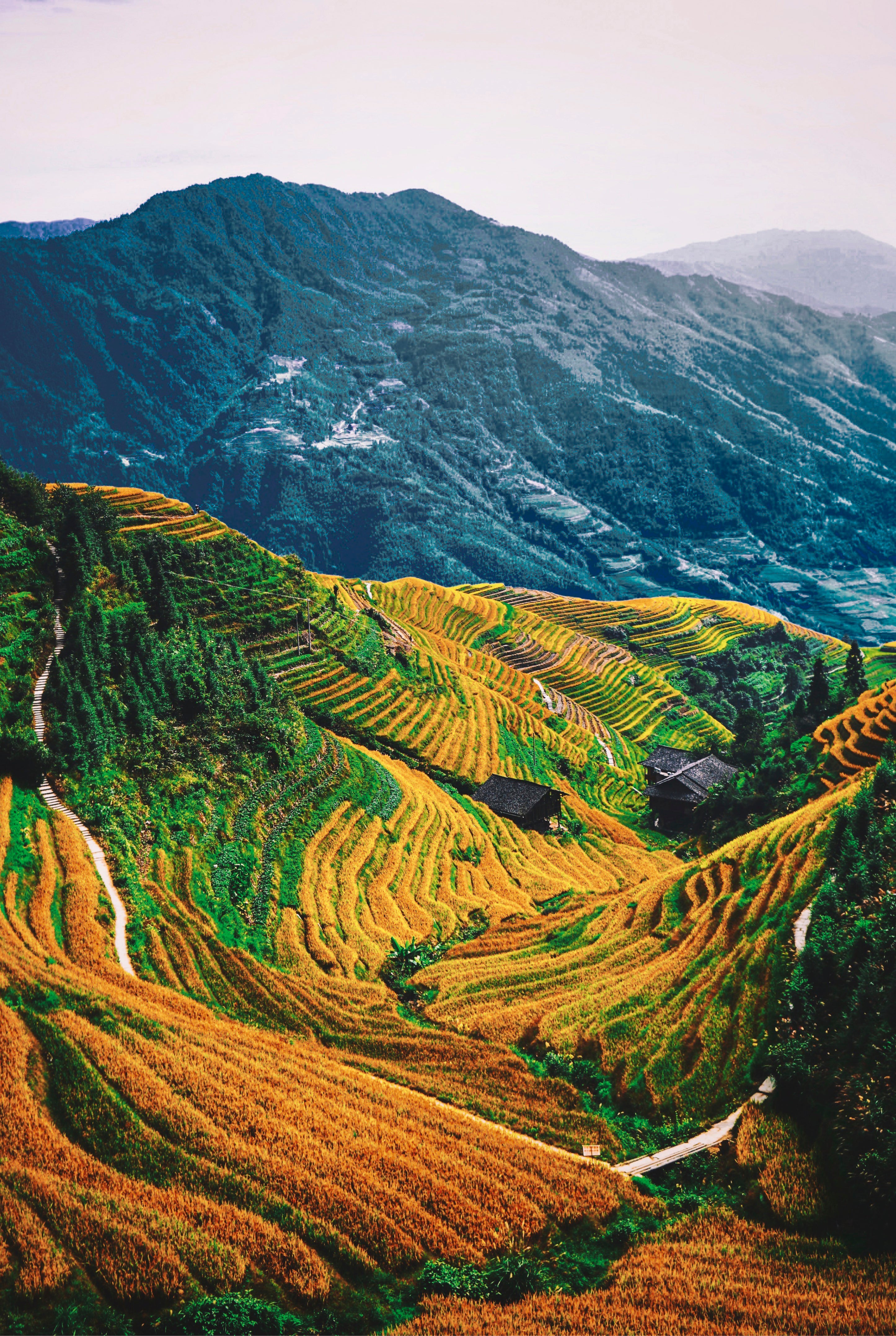 Earth in the valley