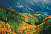 Earth in the valley
