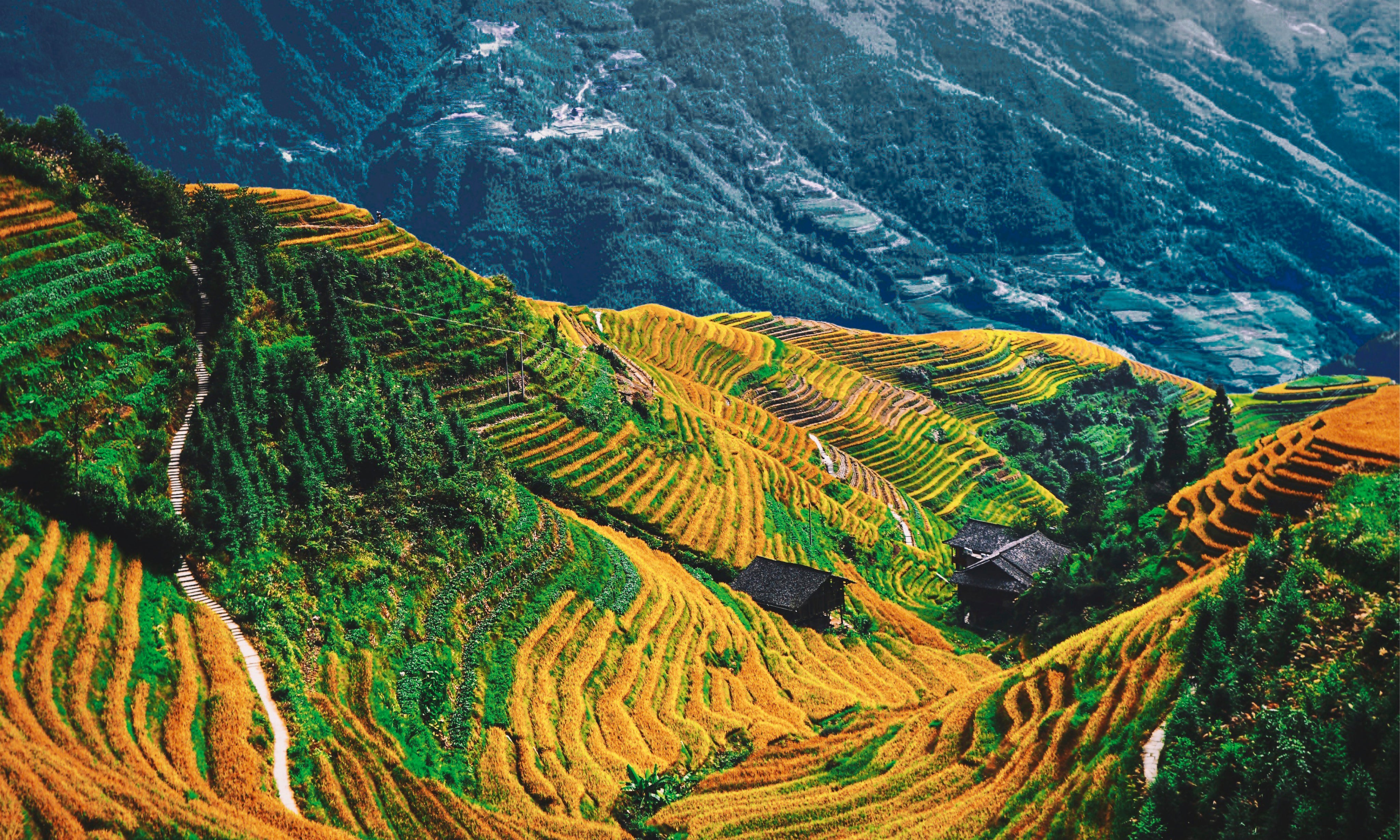 Earthinthevalley-150x100cm.jpg