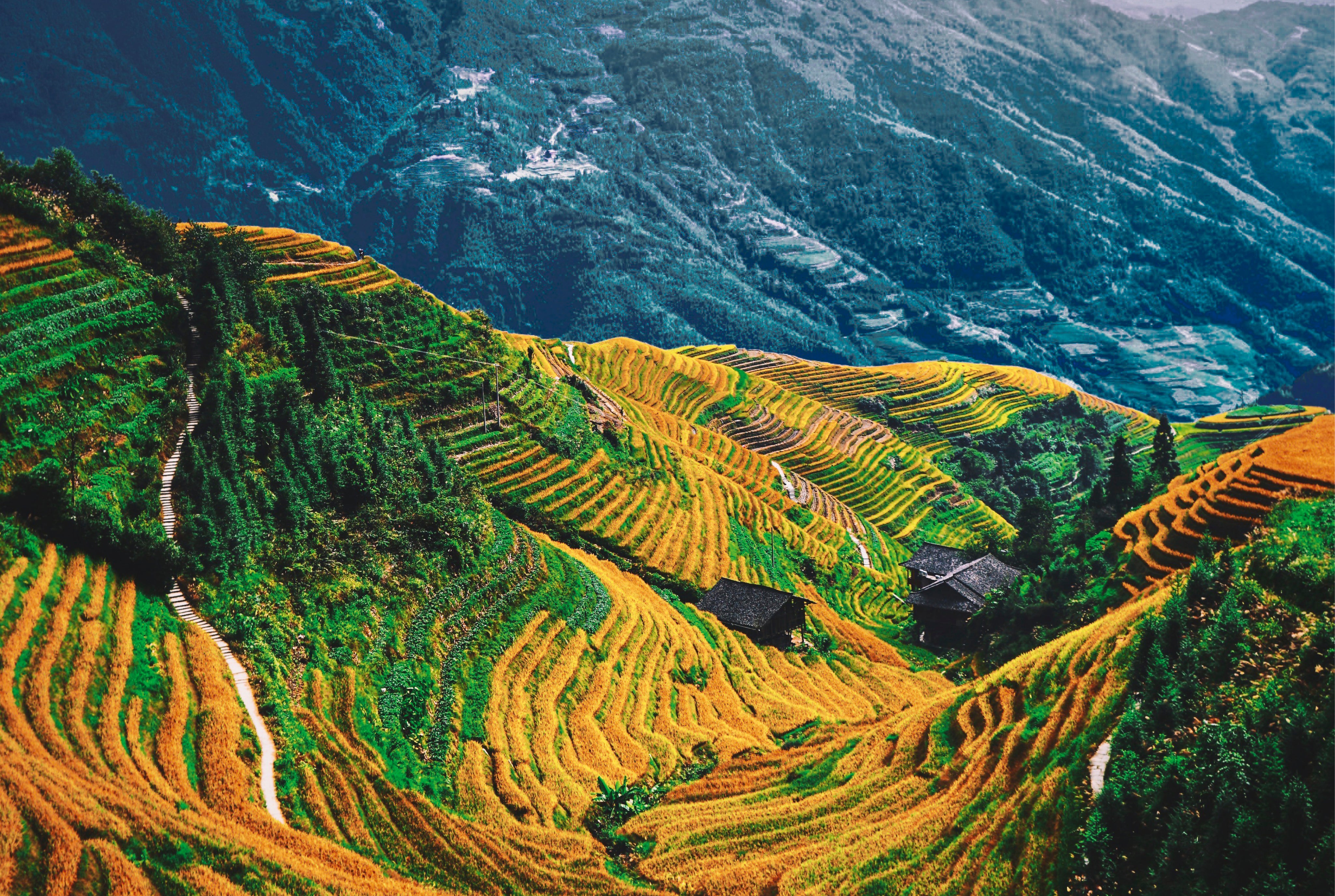 Earthinthevalley-150x100cm.jpg