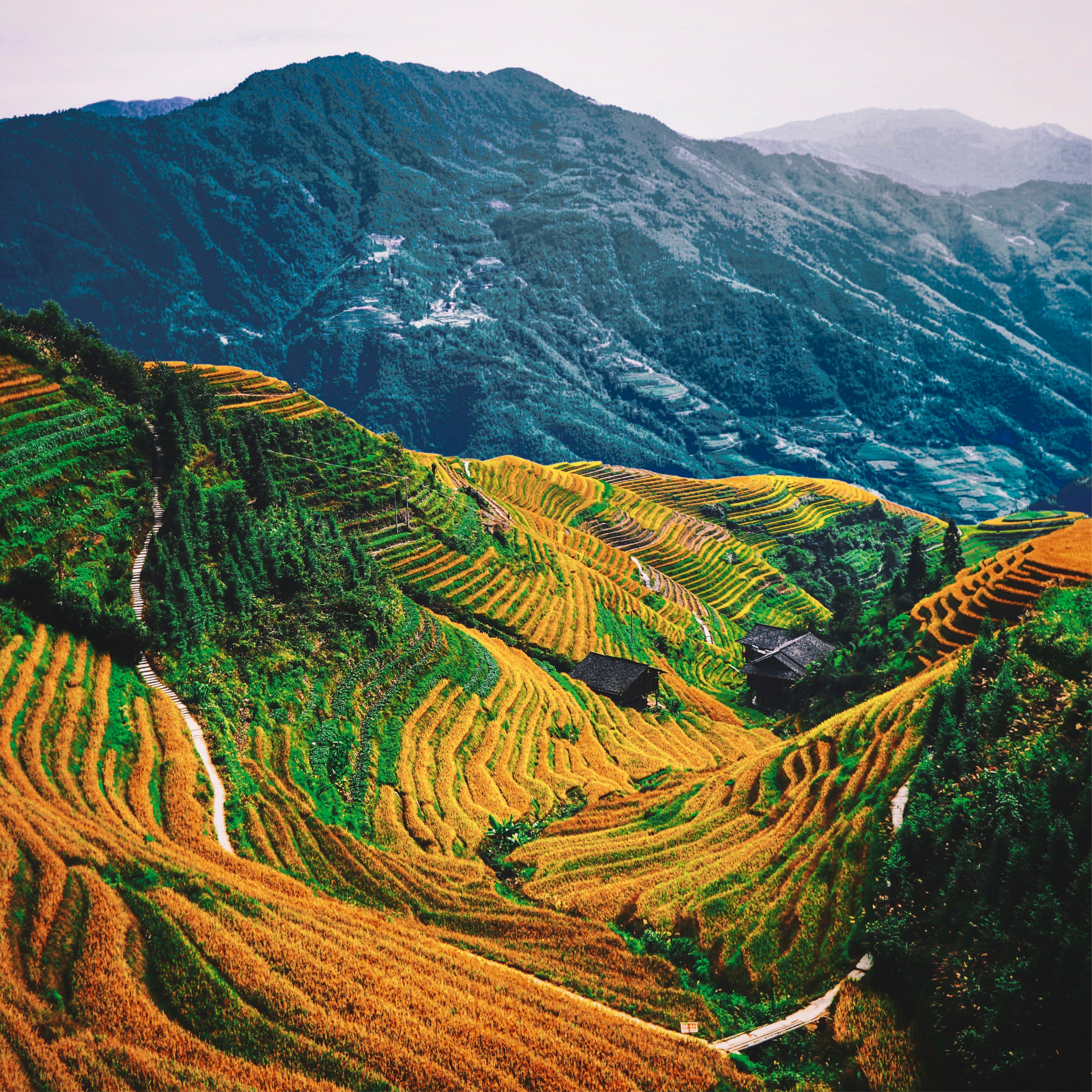 Earth in the valley