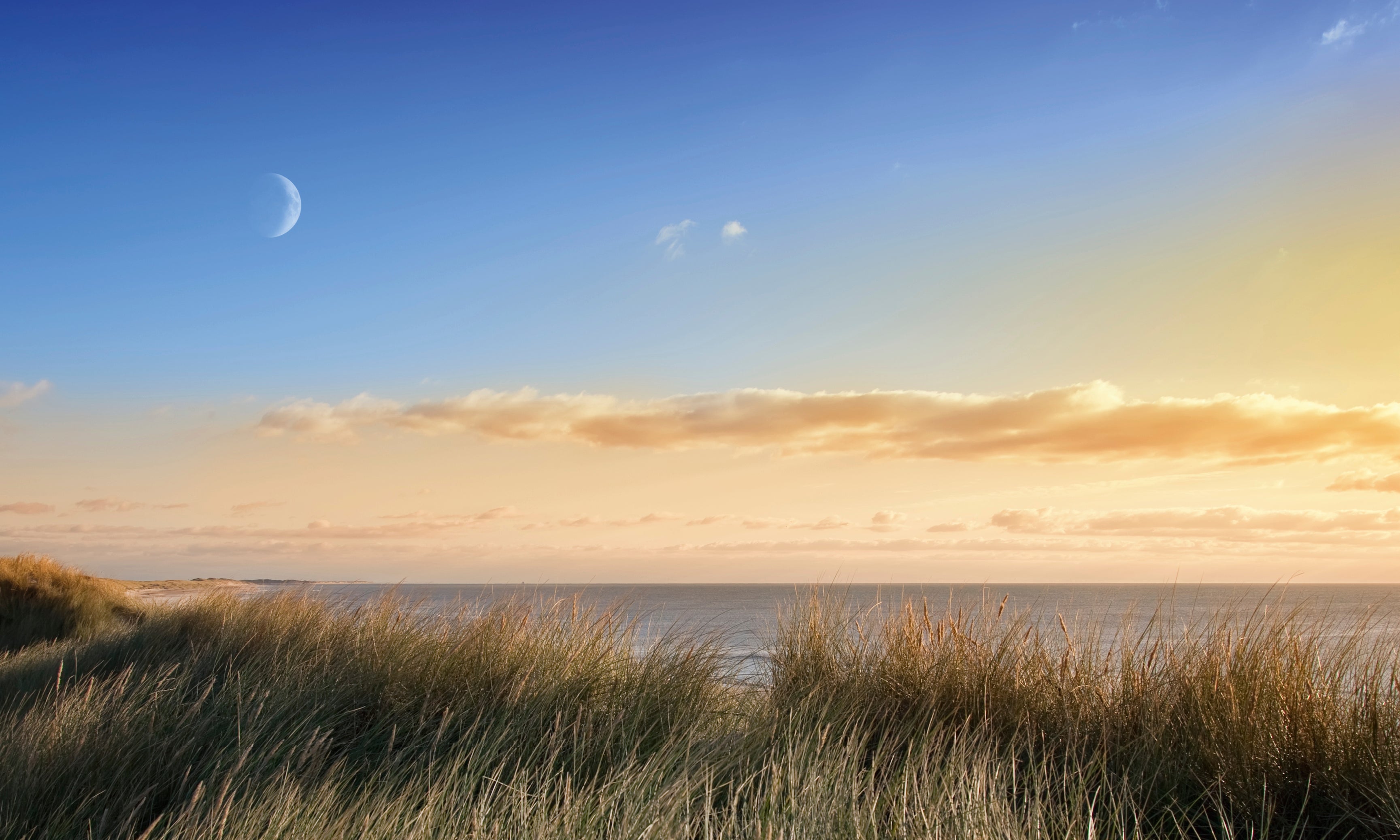 Eveningbreeze-120x80cm.jpg