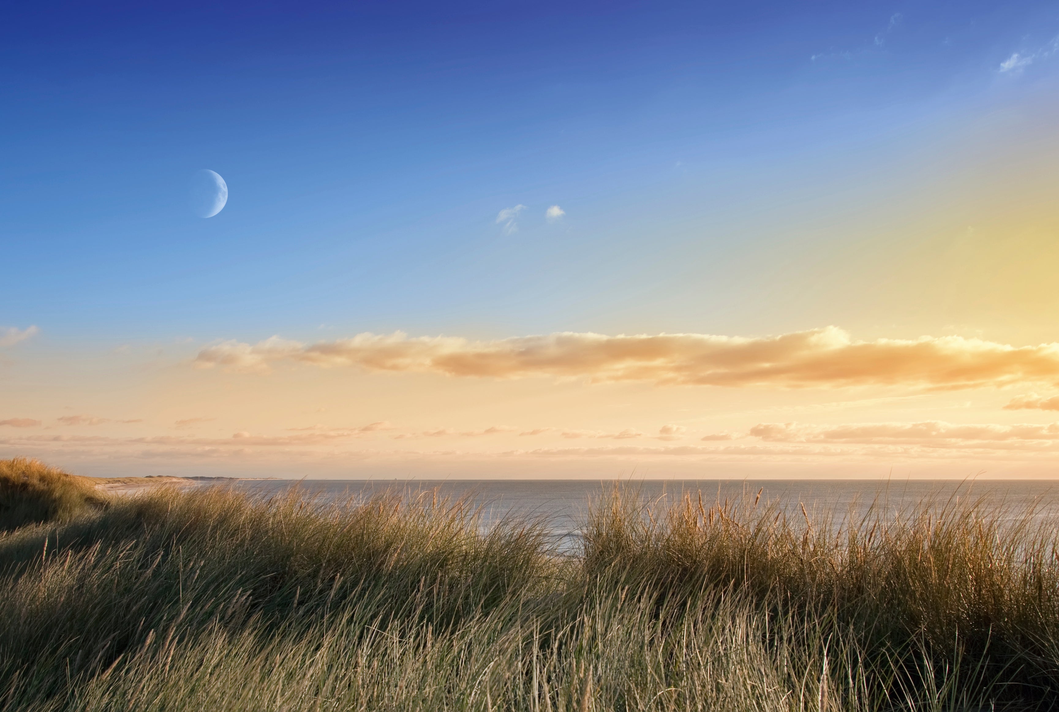Eveningbreeze-120x80cm.jpg