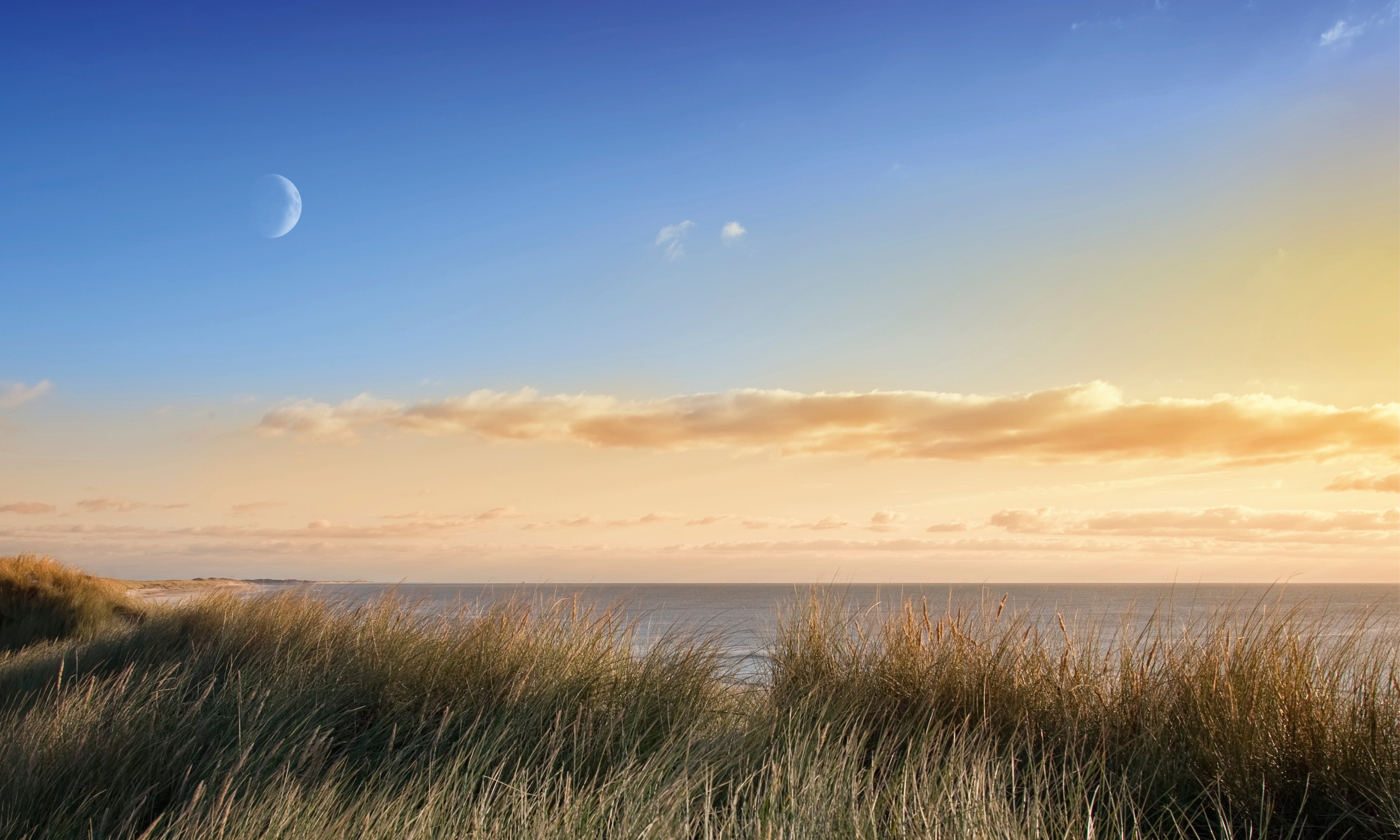 Eveningbreeze-150x100cm.jpg