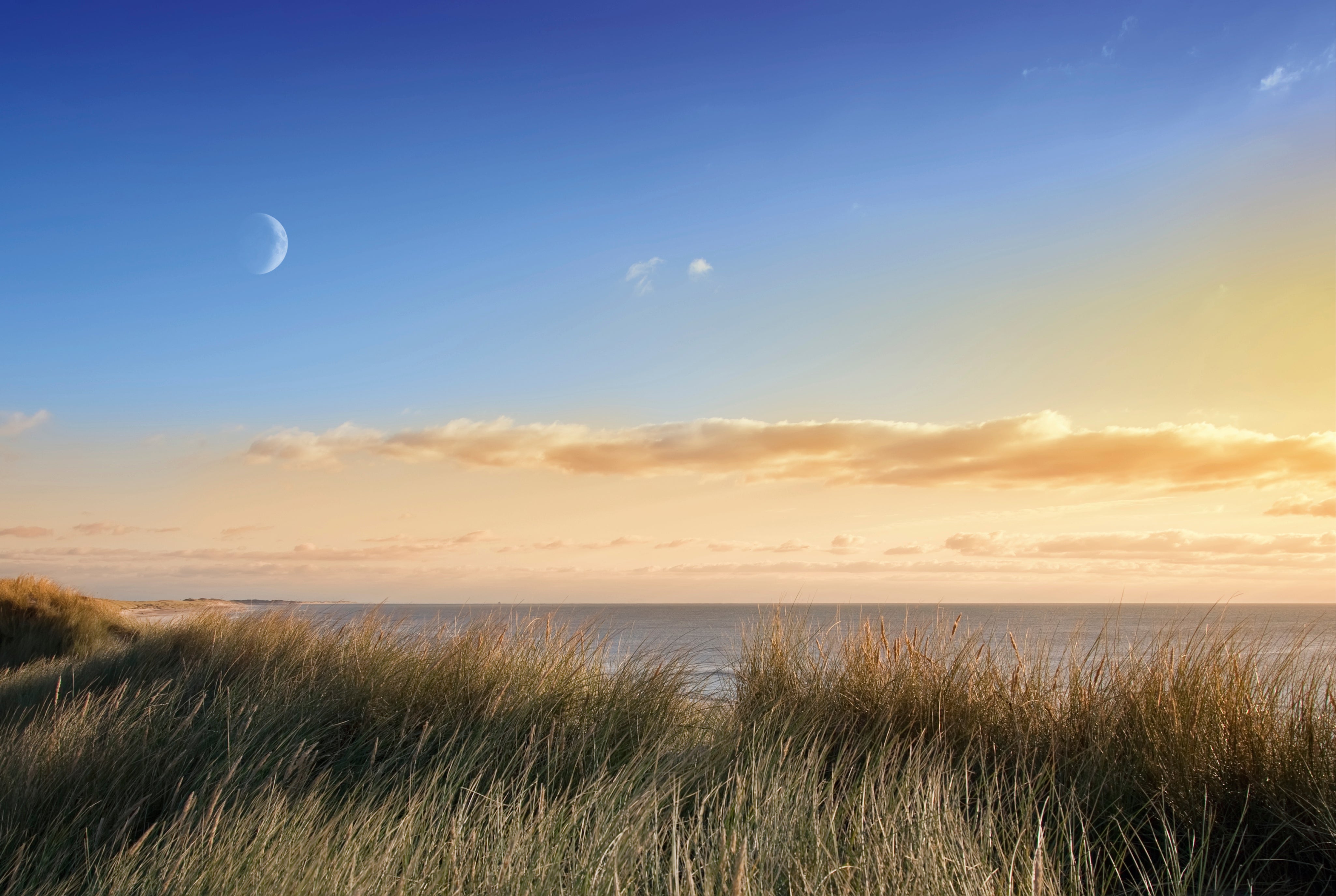 Eveningbreeze-150x100cm.jpg