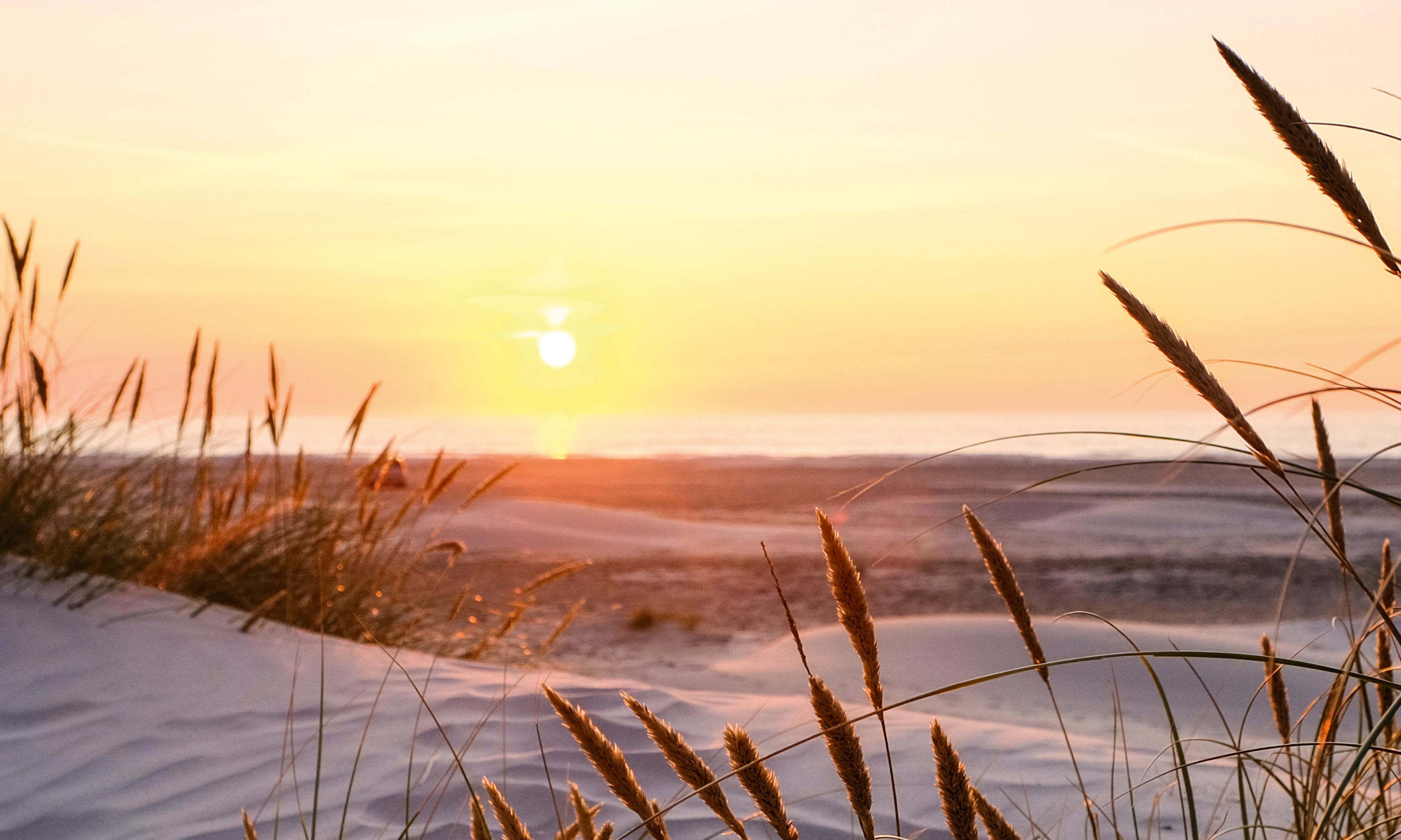 Eveningbythedunes-100x150cm.jpg