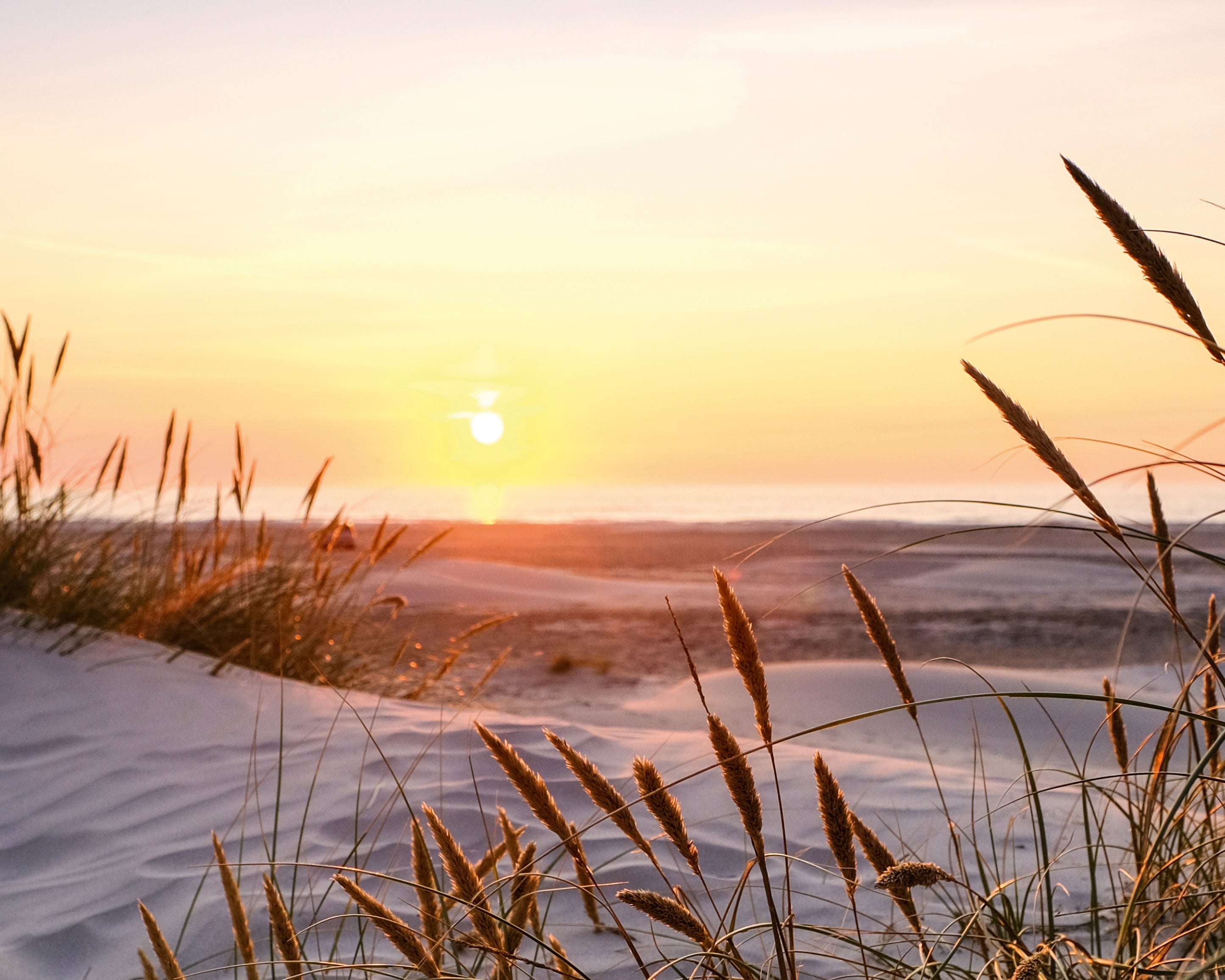 Eveningbythedunes-100x150cm.jpg