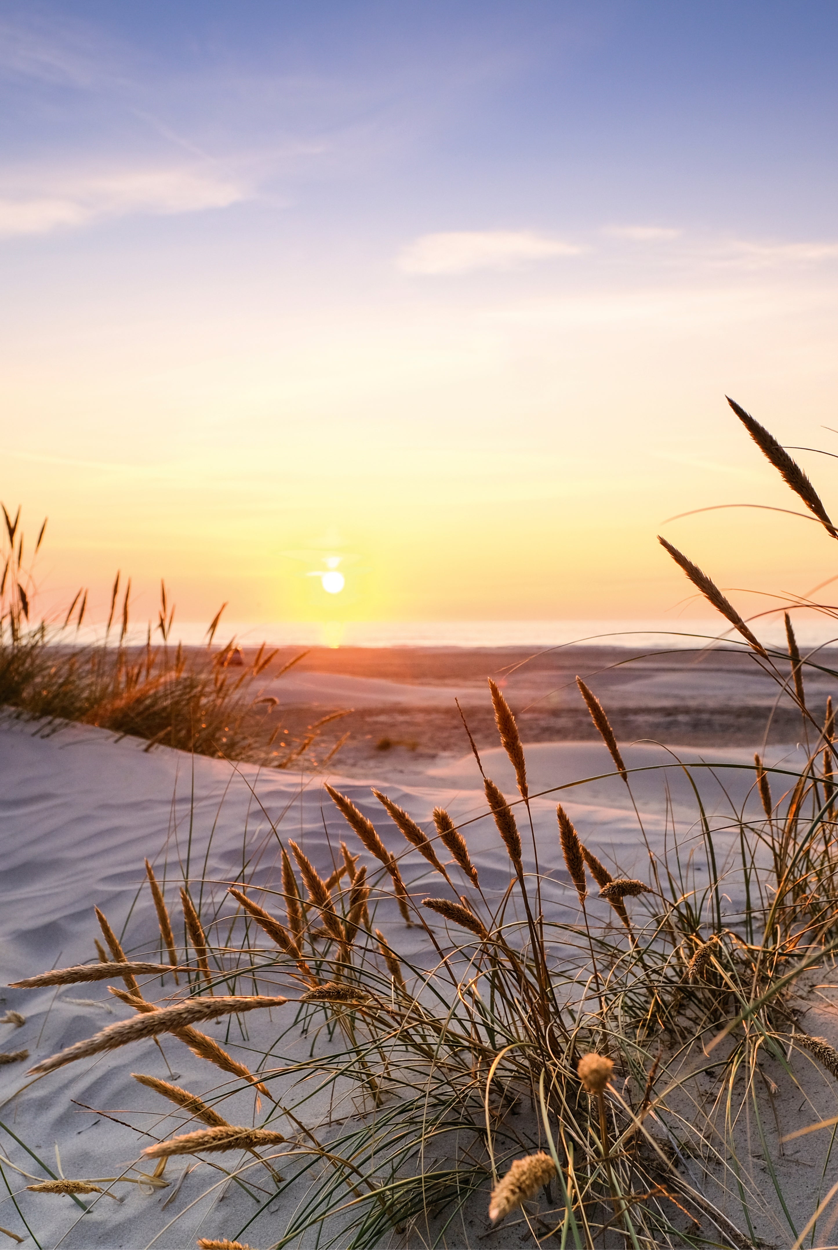 Evening by the dunes