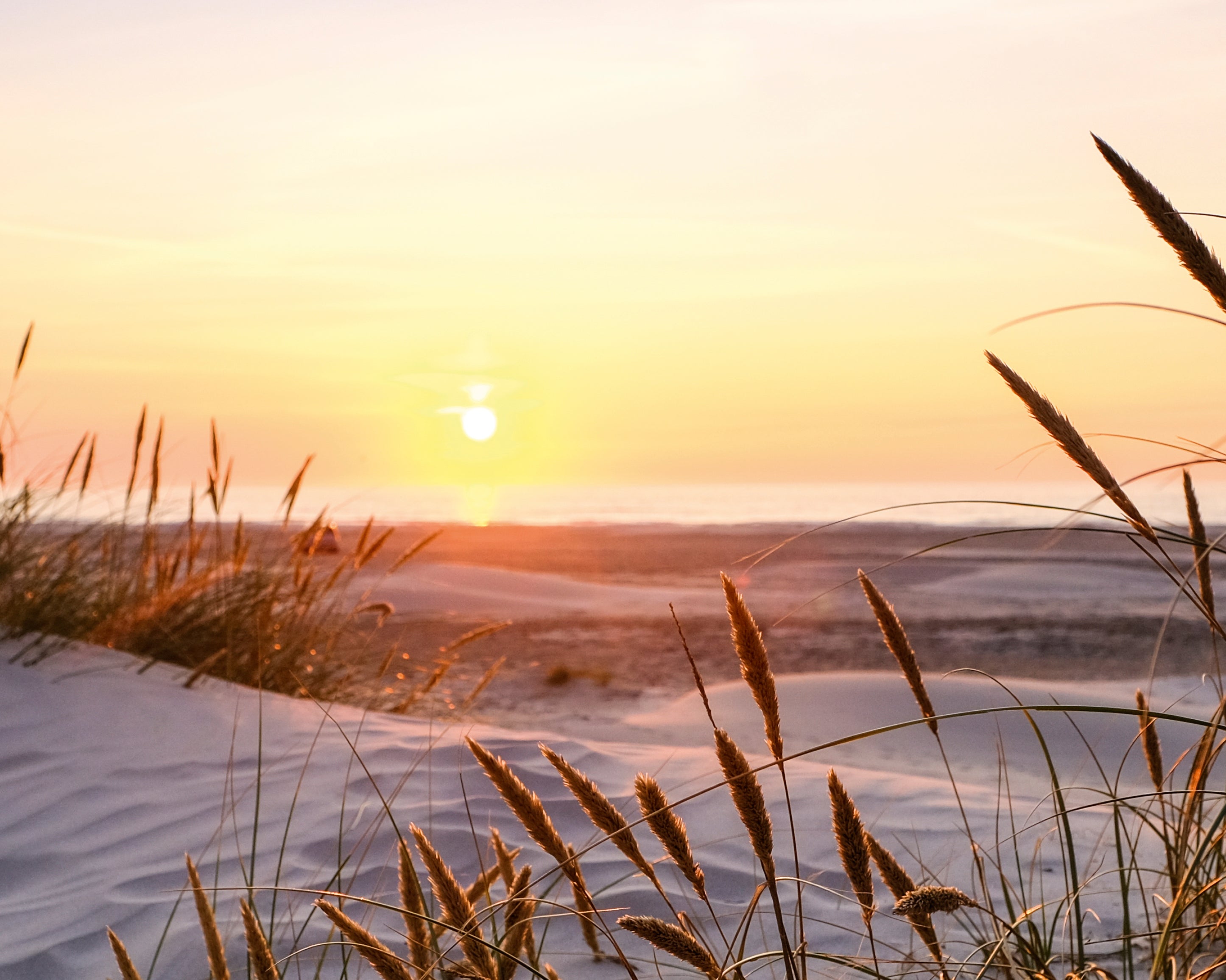 Eveningbythedunes-100x160cm.jpg