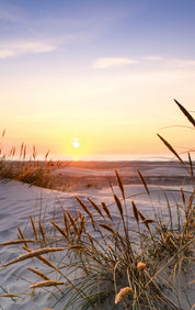 Evening by the dunes
