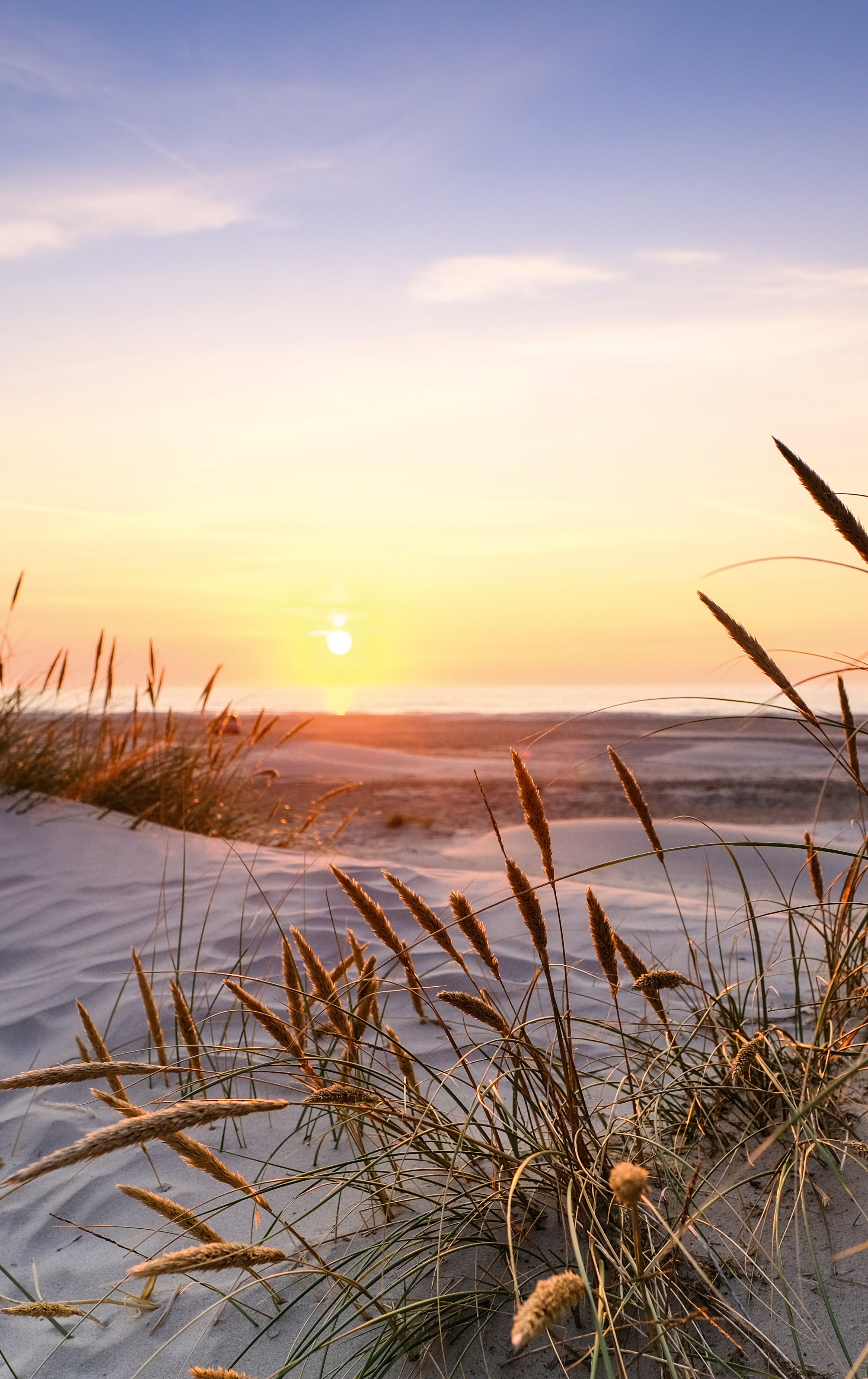 Evening by the dunes